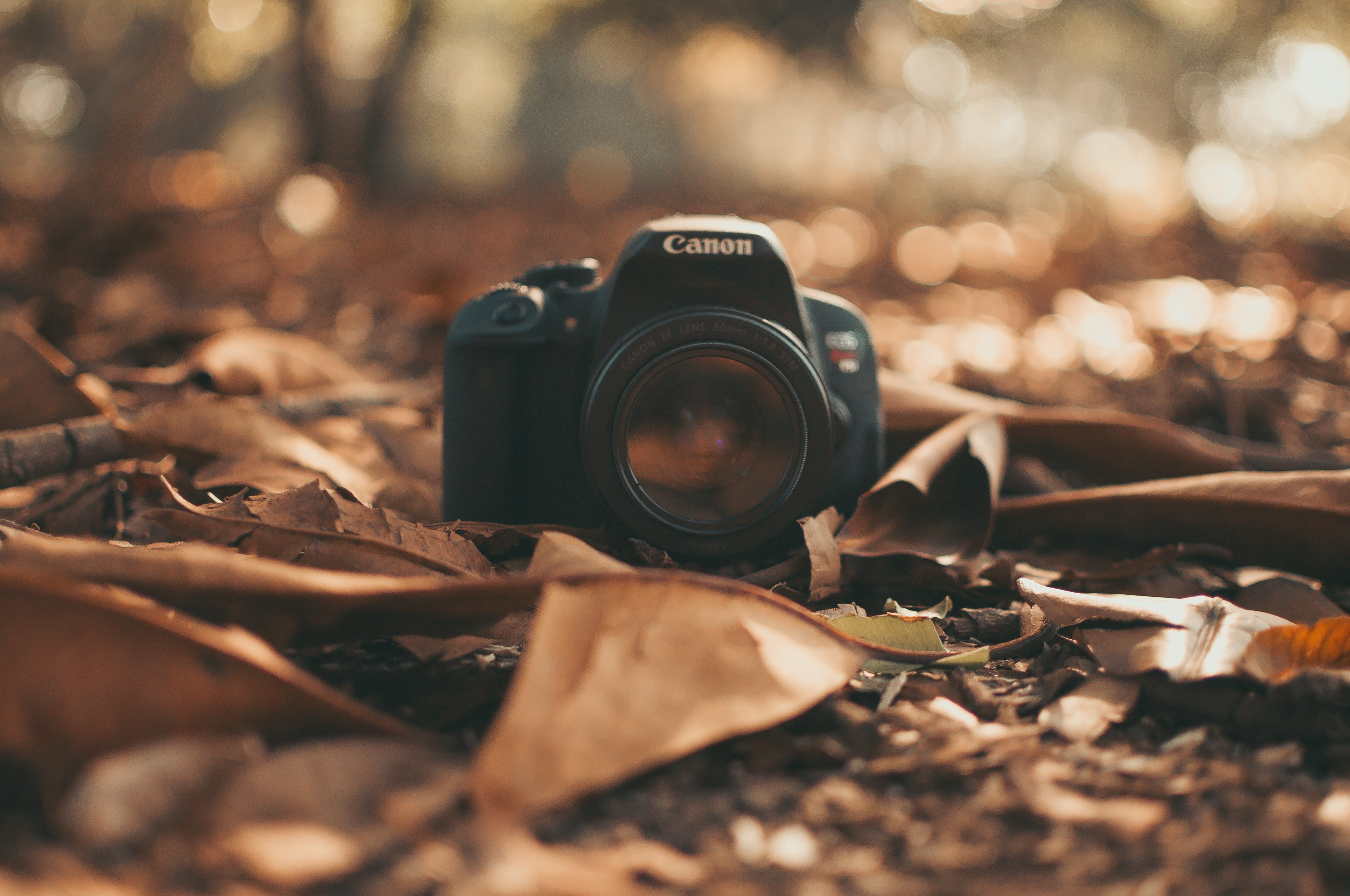 slr camera, retro styled, photography themes, technology, photographing, fall, lens - eye, day, antique, camera, selective focus, dslr, camera film, outdoors, HD Wallpaper