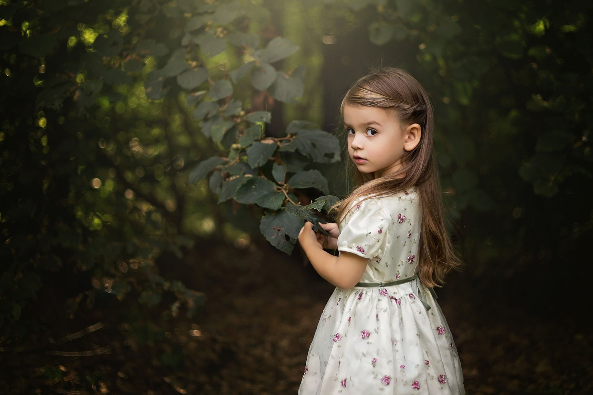 Little Girl, Forest, Dress, Tree, Cute, 1080P, Photography, Child, HD Wallpaper