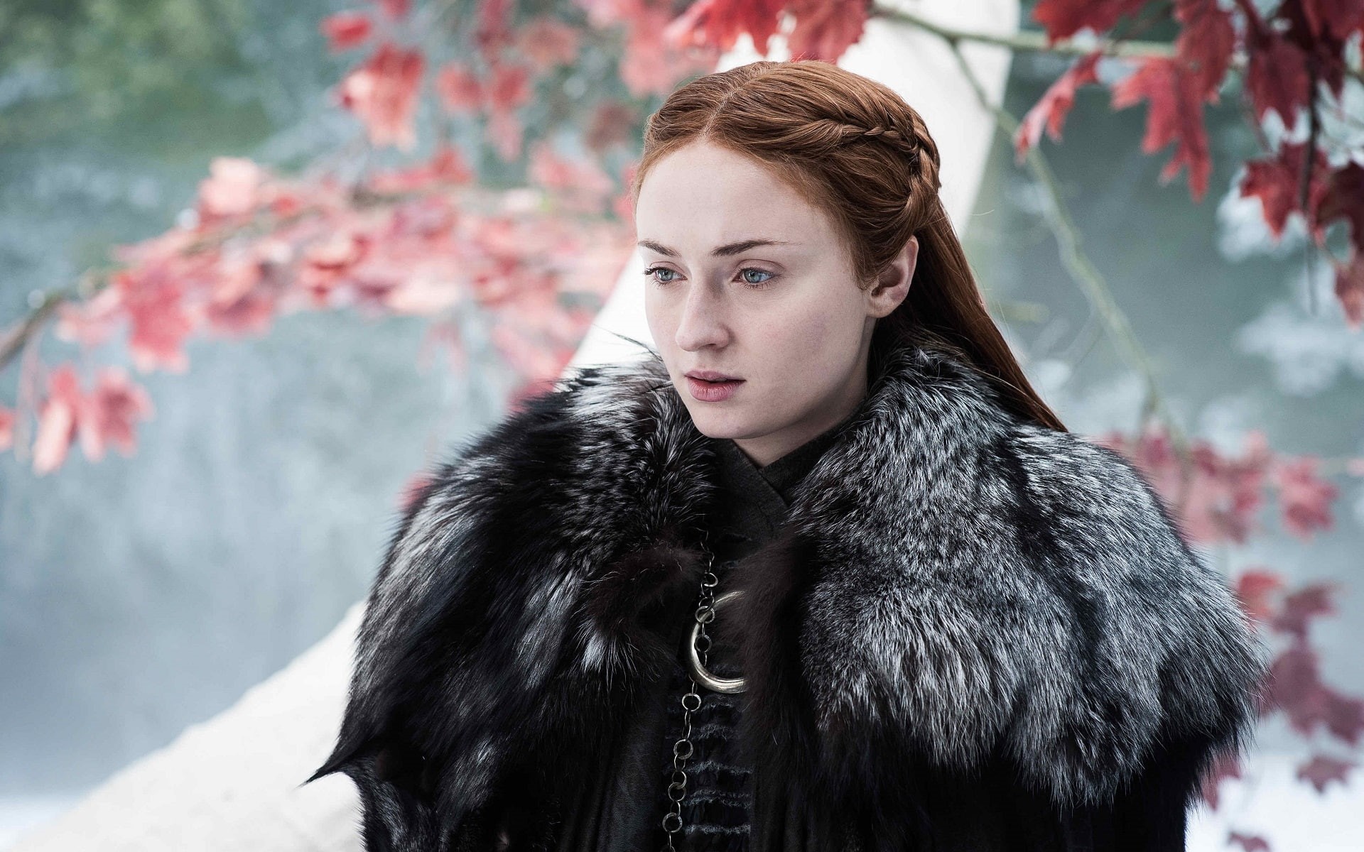 Sophie Turner, women, blue eyes, redhead, fur coats, TV, fur, Game of Thrones, braids, actress, Sansa Stark, 1080P, HD Wallpaper