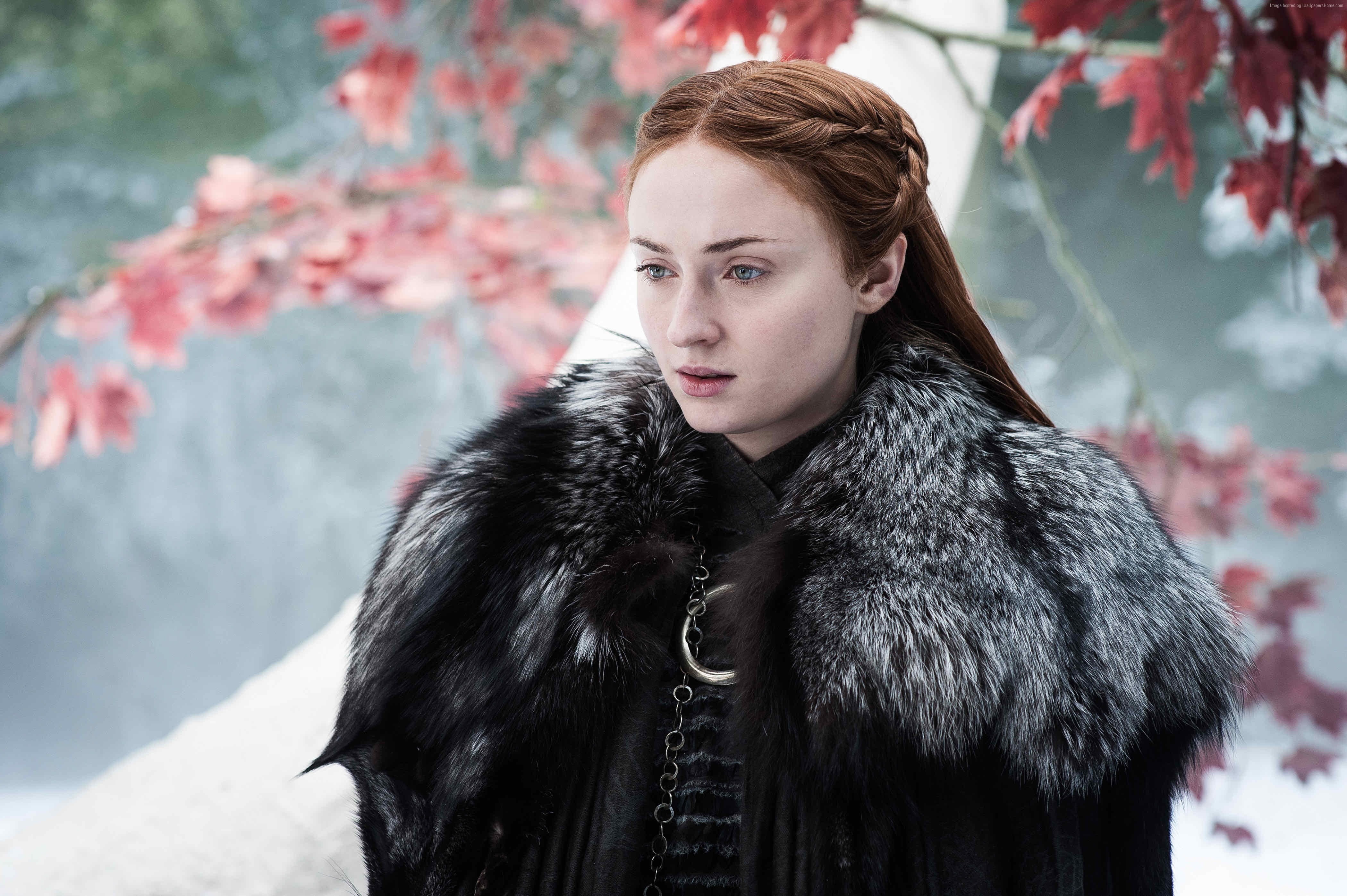 Sophie Turner, Game of Thrones Season 7, 4K, TV Series, Sansa, 4K, HD Wallpaper