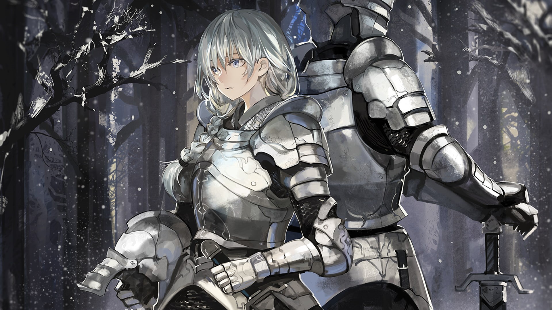 1080P, fantasy girl, white hair, gauntlets, knight, warrior, anime girls, braids, white eye, armor, HD Wallpaper