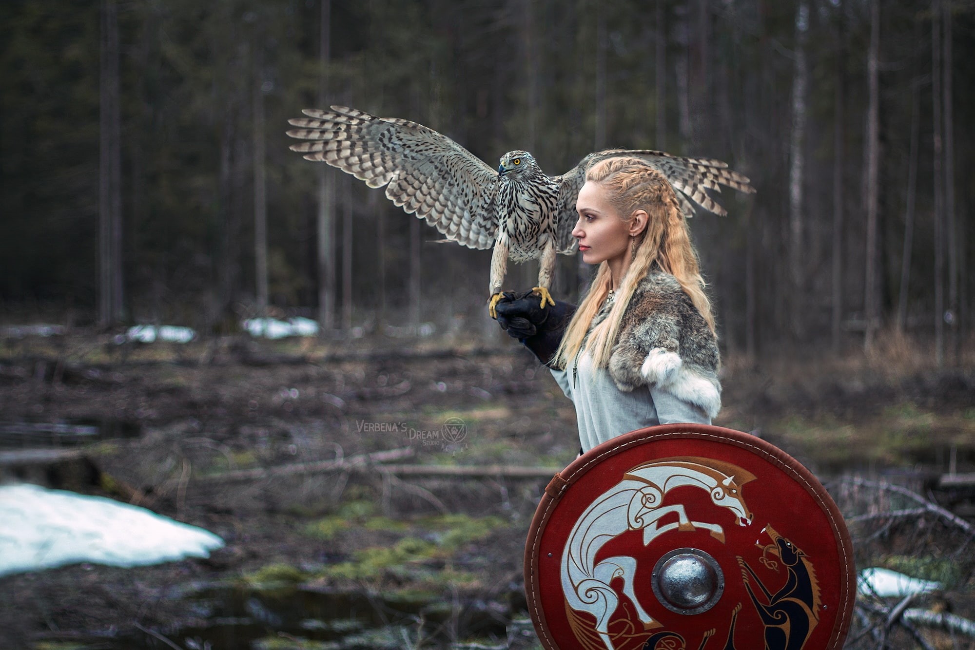 1080P, shield, cosplay, women, fantasy girl, blonde, model, Darya Lefler, Braided hair, portrait, eagle, depth of field, Vikings, costumes, outdoors, forest, HD Wallpaper