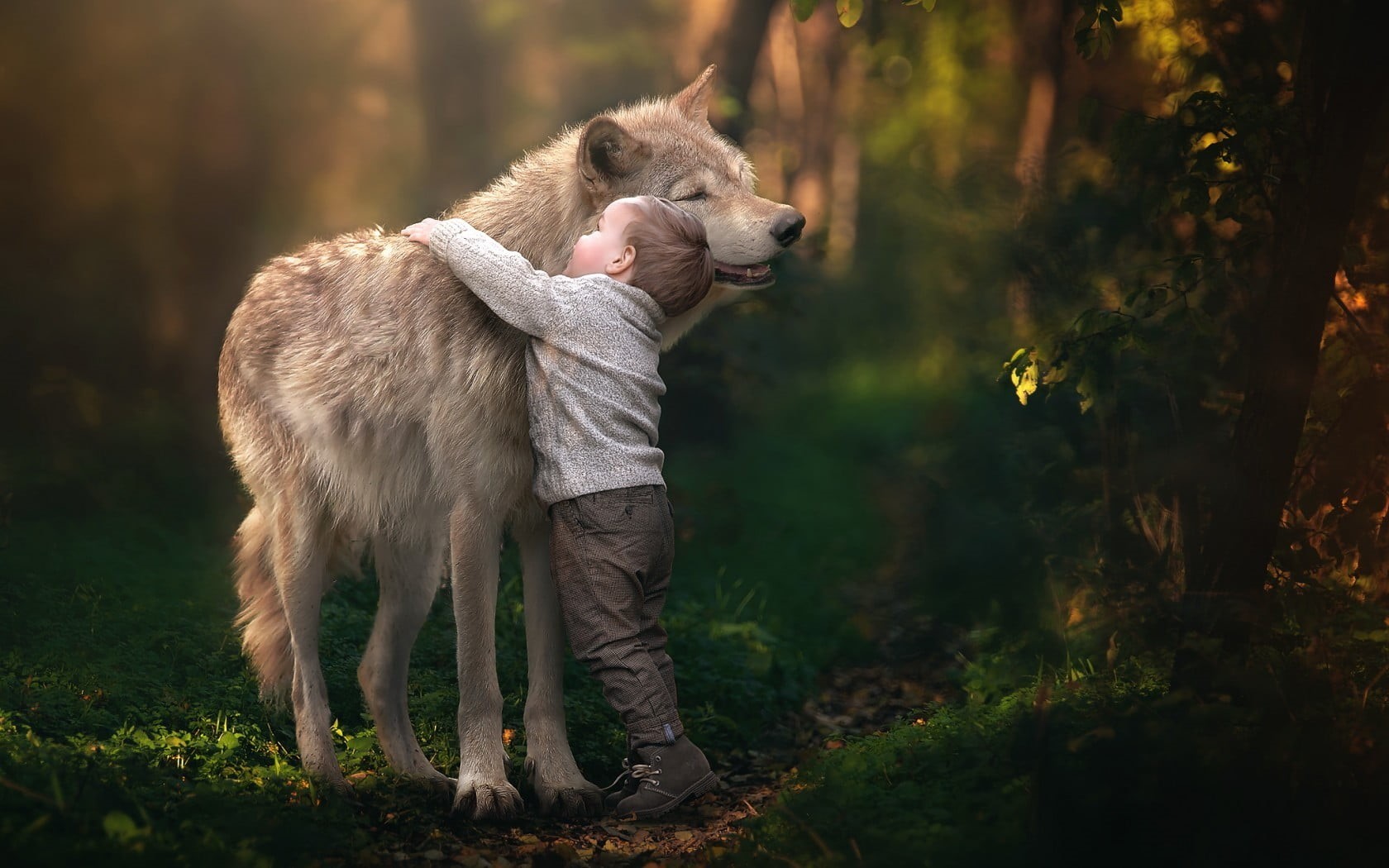 hair, s, domestic, boy, vertebrate, pets, nature, standing, sweatshirt, happy, mammal, one animal, canine, day, plant, land, outdoors, animals, children, HD Wallpaper