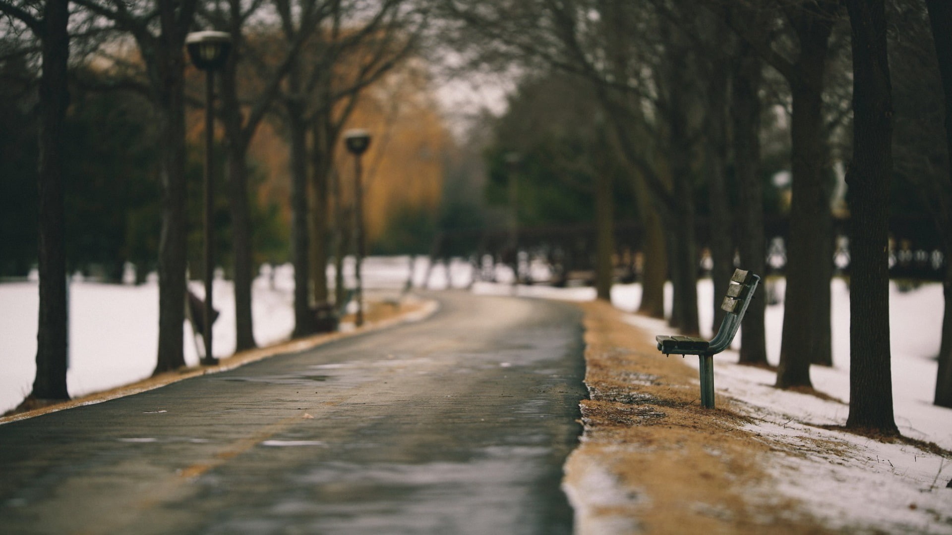 park, alleyway, snow, 1080P, bench, winter, HD Wallpaper