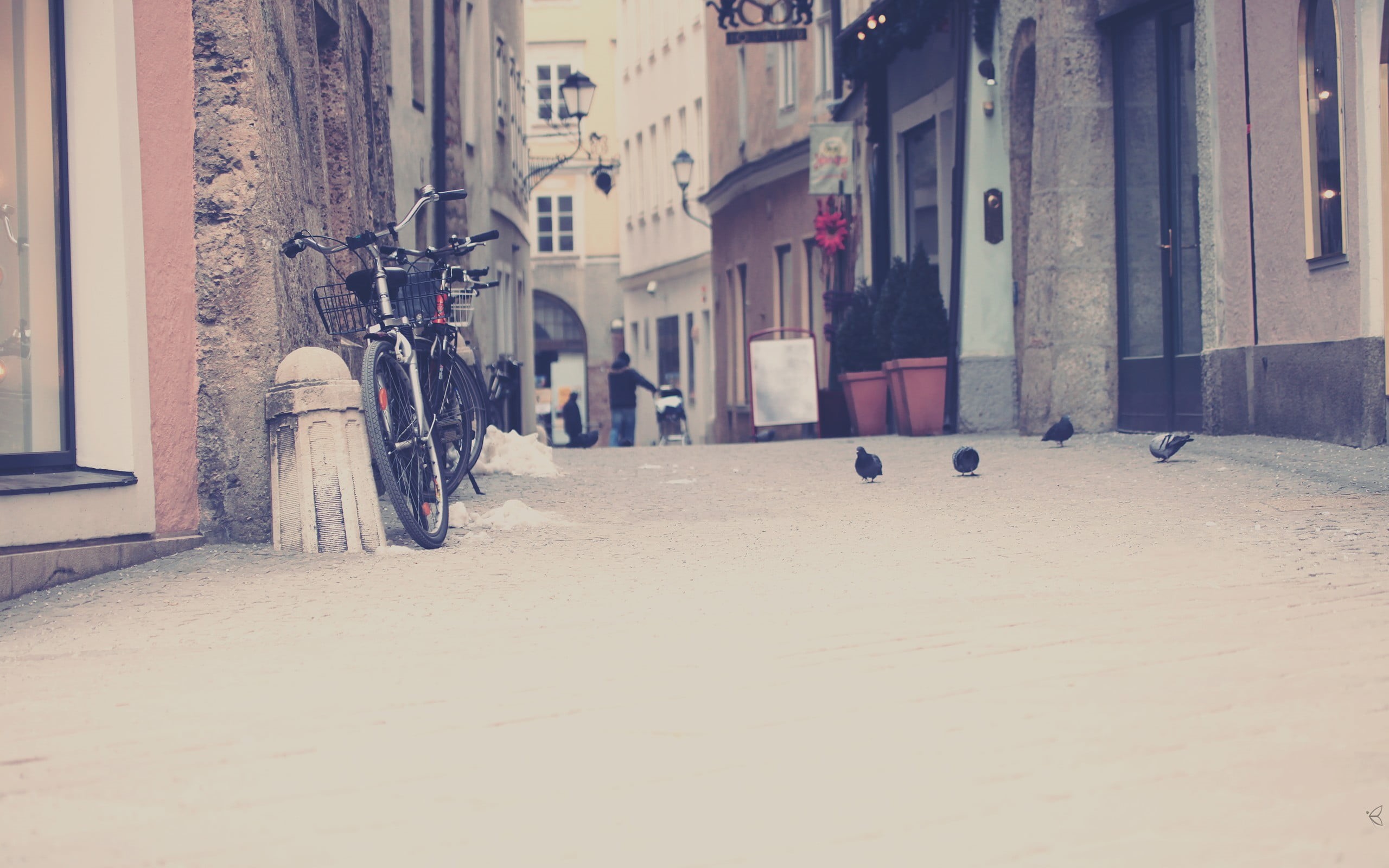 snow, winter, building exterior, 2K, city, incidental people, alley, day, bicycle, alleyway, transportation, the way forward, pigeons, outdoors, house, HD Wallpaper