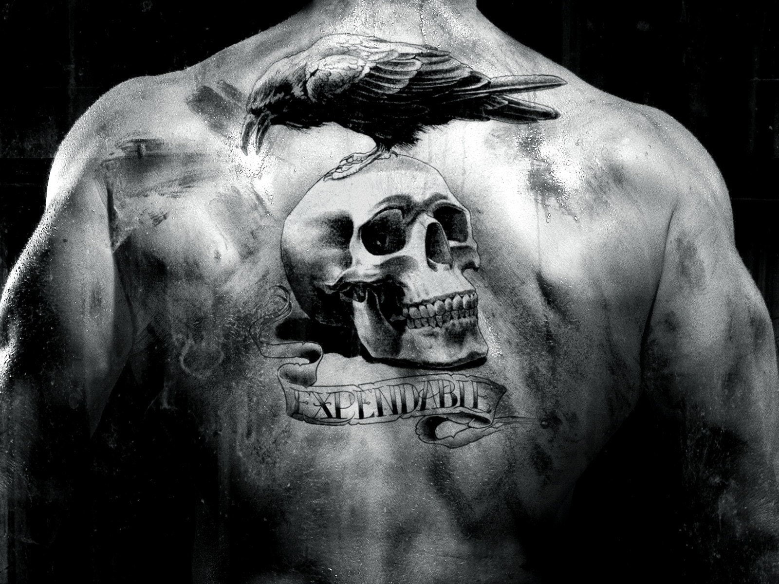movie, tattoo, skull, raven, man, 720P, 1600x1200, back, expendables, HD Wallpaper