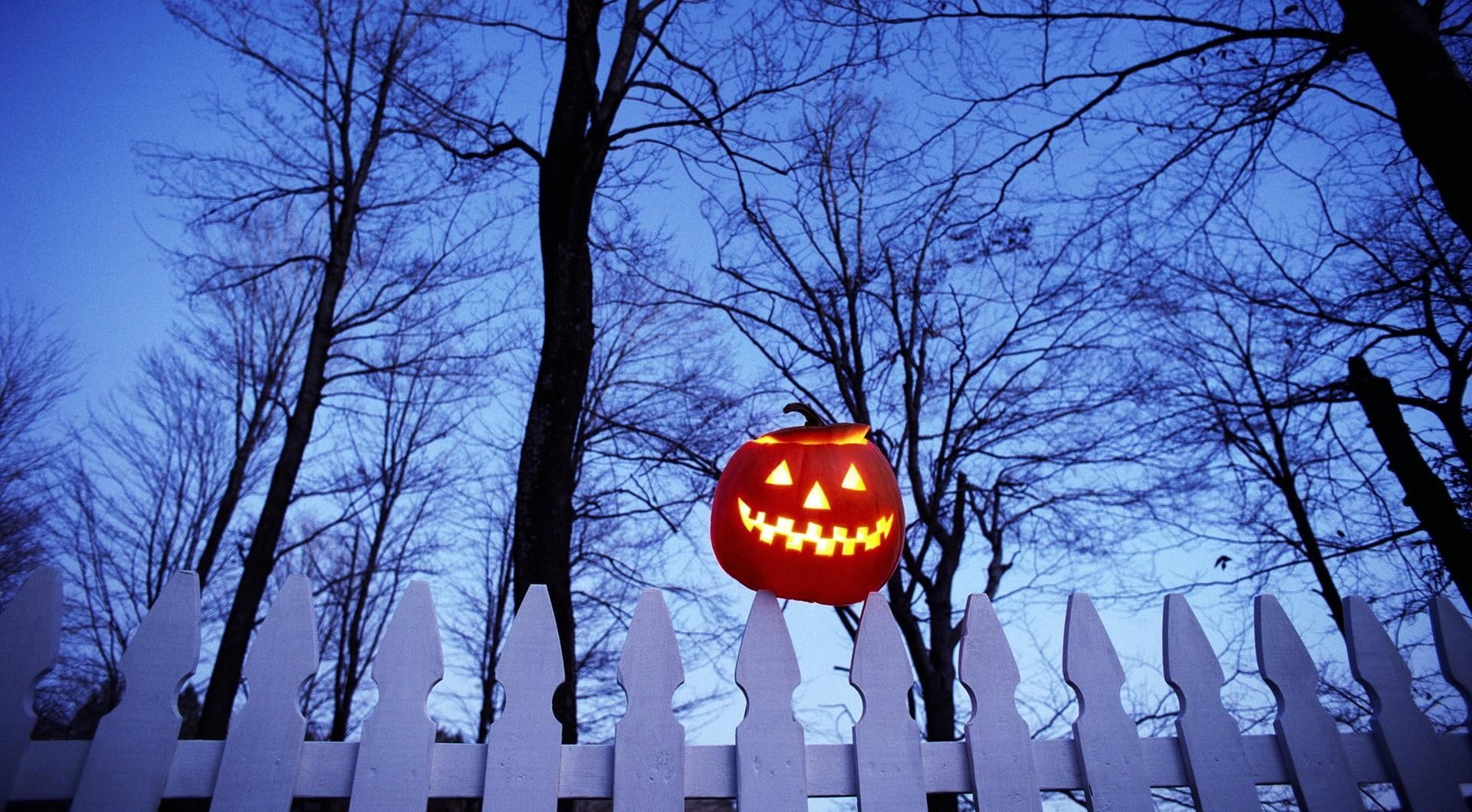 trees, 1080P, holiday, pumpkin, halloween, sky, fence, HD Wallpaper