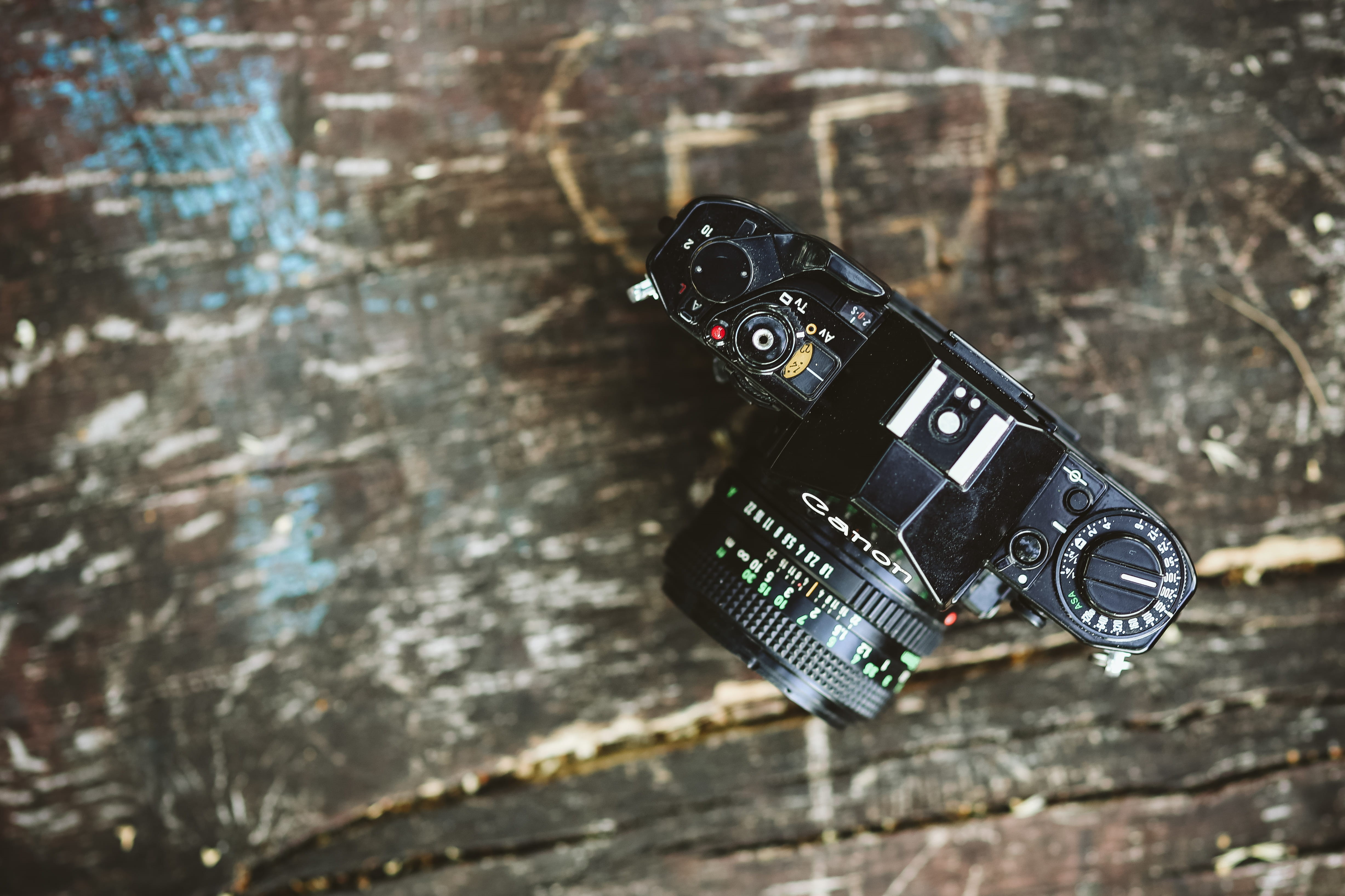 photographer, equipment, arts culture and entertainment, directly above, one animal, black color, photography Themes, camera, outdoors, antique, old-fashioned, HD Wallpaper