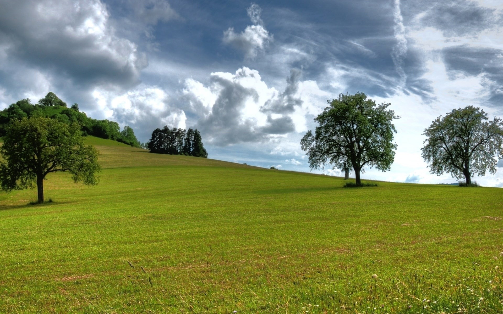 1080P, cool pics of nature hd background 1920x1200, HD Wallpaper