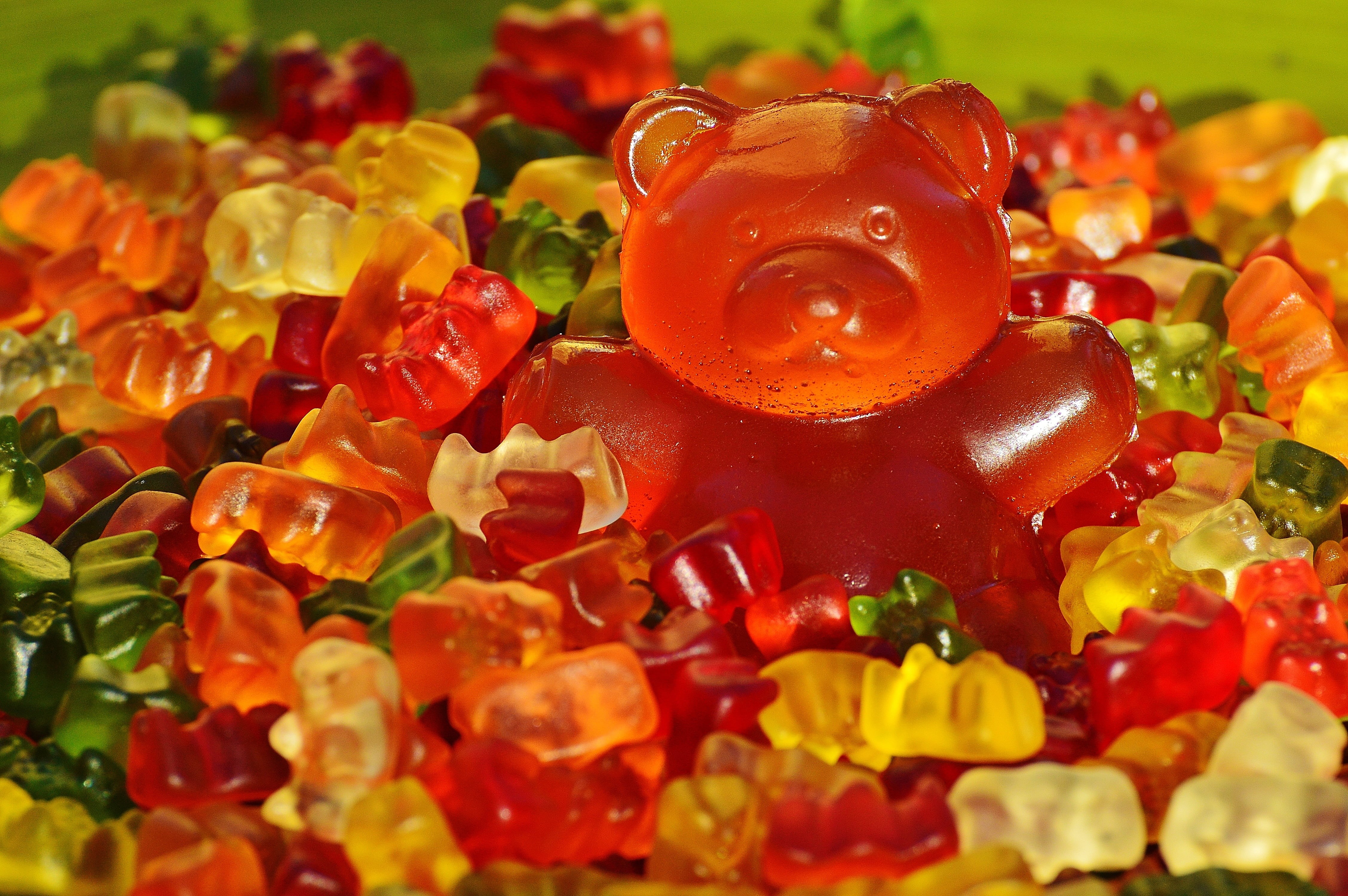 wealth, bear, healthy eating, 4K, flower, close-up, abundance, backgrounds, marmalade, indoors, candy, still life, sweet food, ready-to-eat, gummy, no people, HD Wallpaper