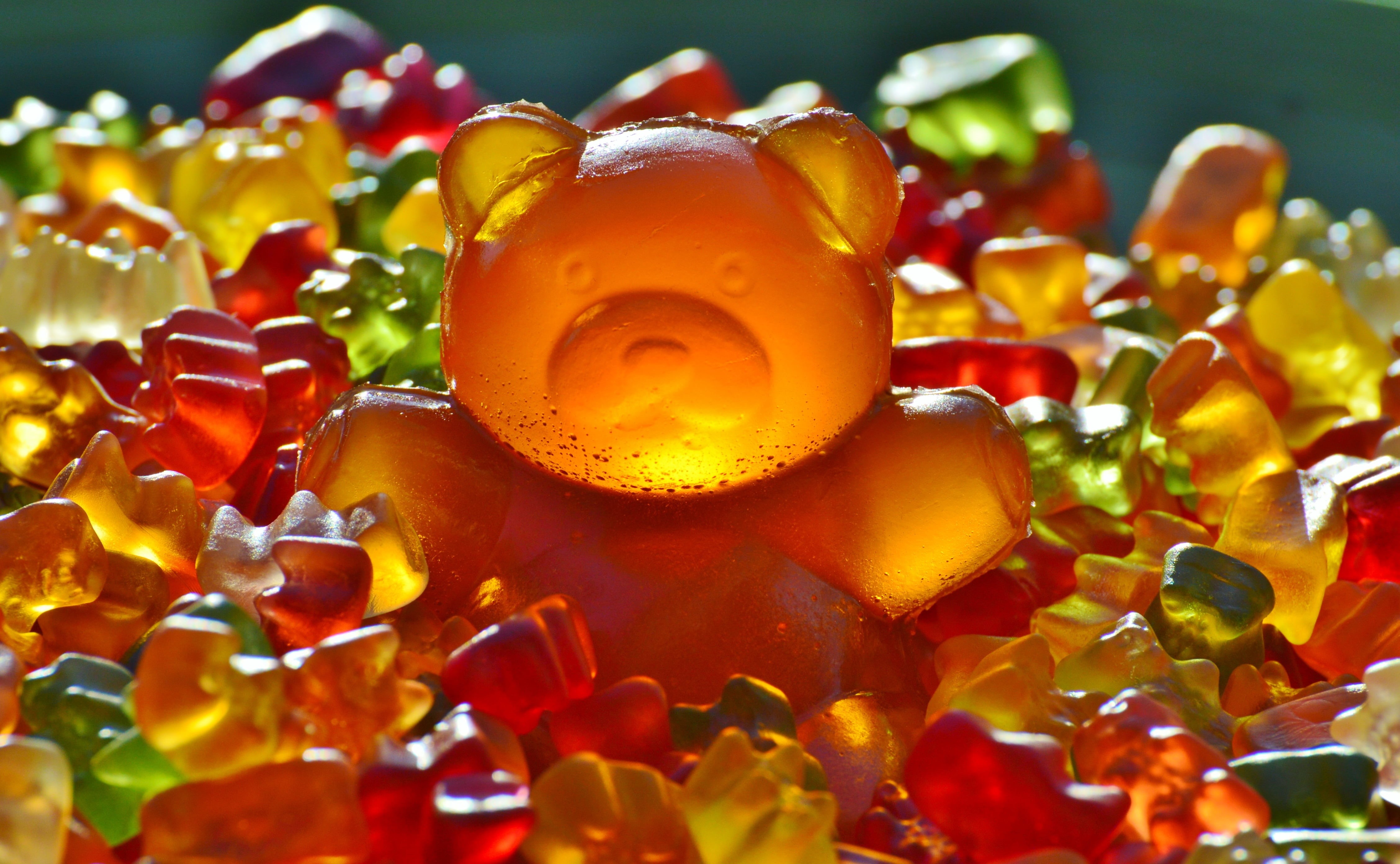 still life, plant, selective focus, no people, drink, 4K, bears, celebration, red, indoors, food and drink, yellow, food, candle, wellbeing, glass, leaf, HD Wallpaper