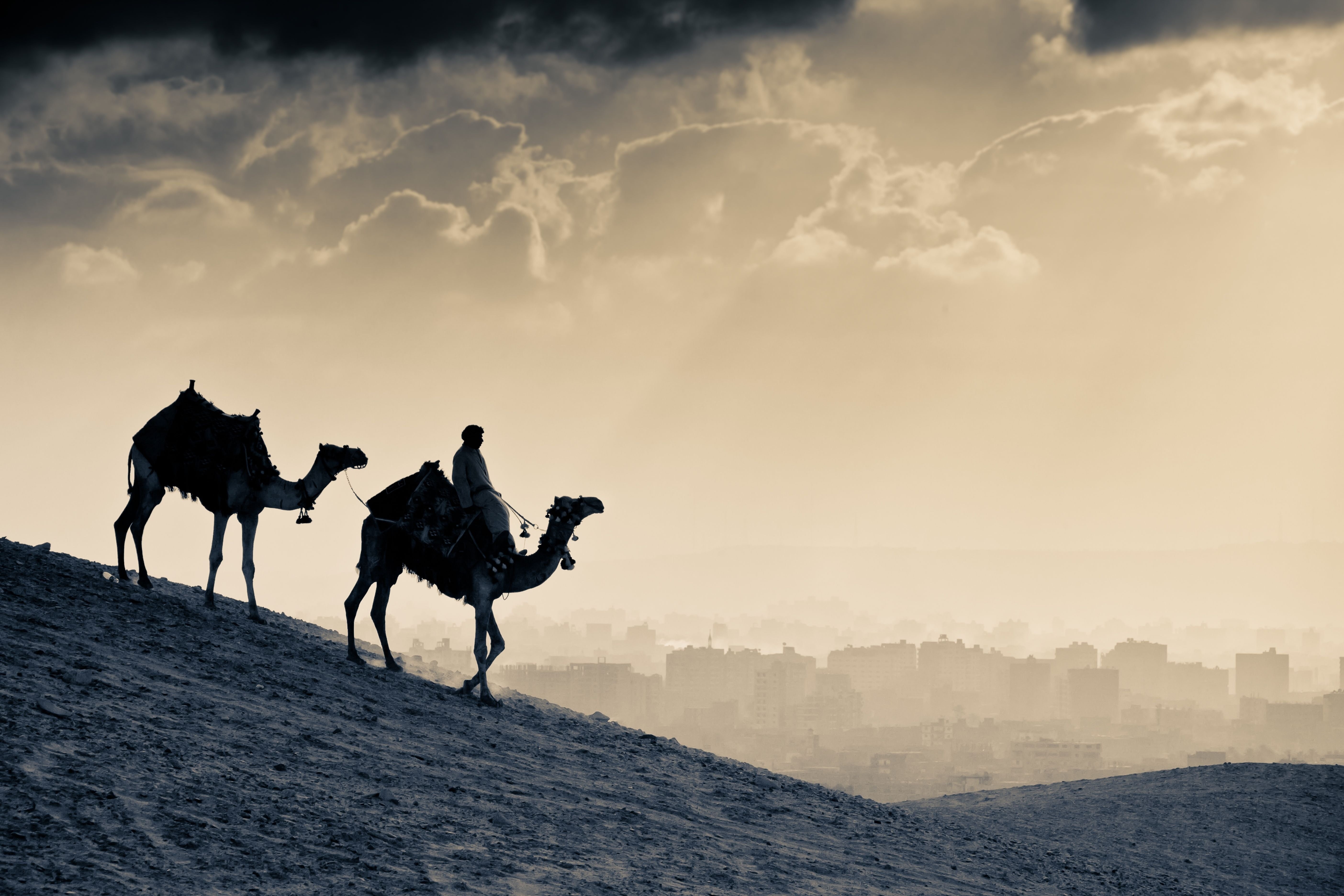 travel, sunrise - Dawn, sahara Desert, tourist, animal, journey, people, sand, painting, africa, scenics, camel, vertebrate, landscape, sand Dune, architecture, HD Wallpaper