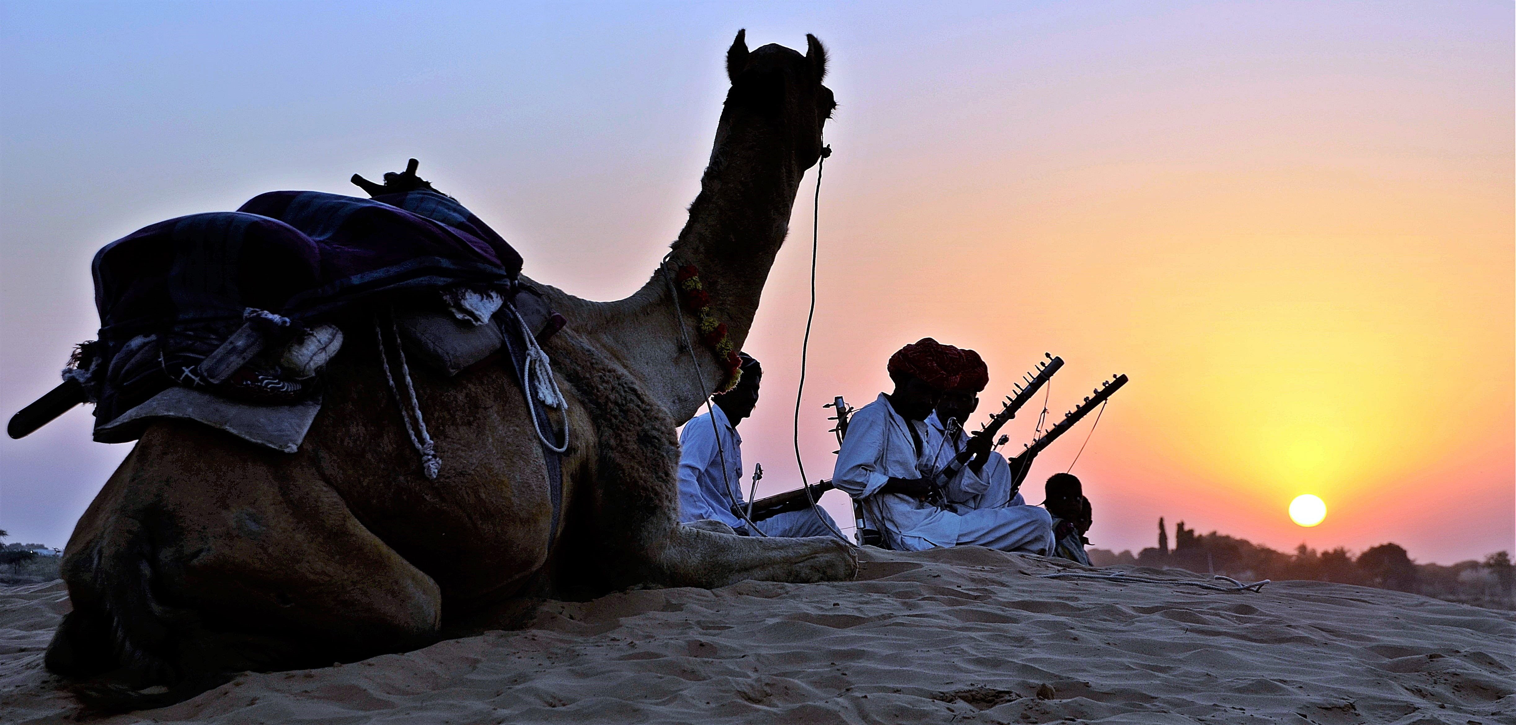 Desert, men, people, 4K, sitting, architecture, travel, convoy, working animal, pets, group of people, Camel, Dune, outdoors, sunset, domestic animals, HD Wallpaper