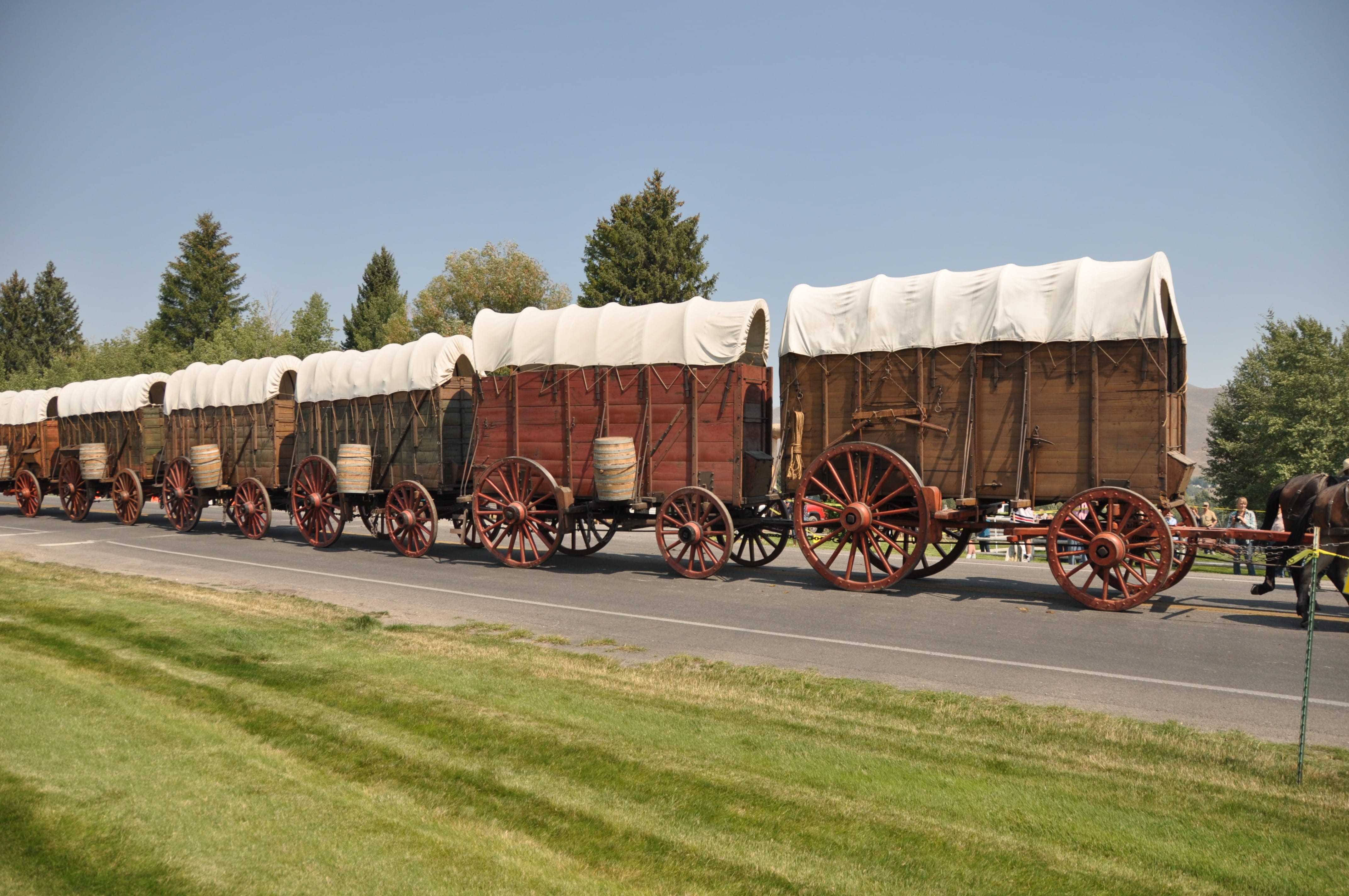 waggons, plant, built structure, cart, convoy, Western, nature, wild west, mode of transportation, wheel, land vehicle, transportation, rusty, Pioneers, HD Wallpaper