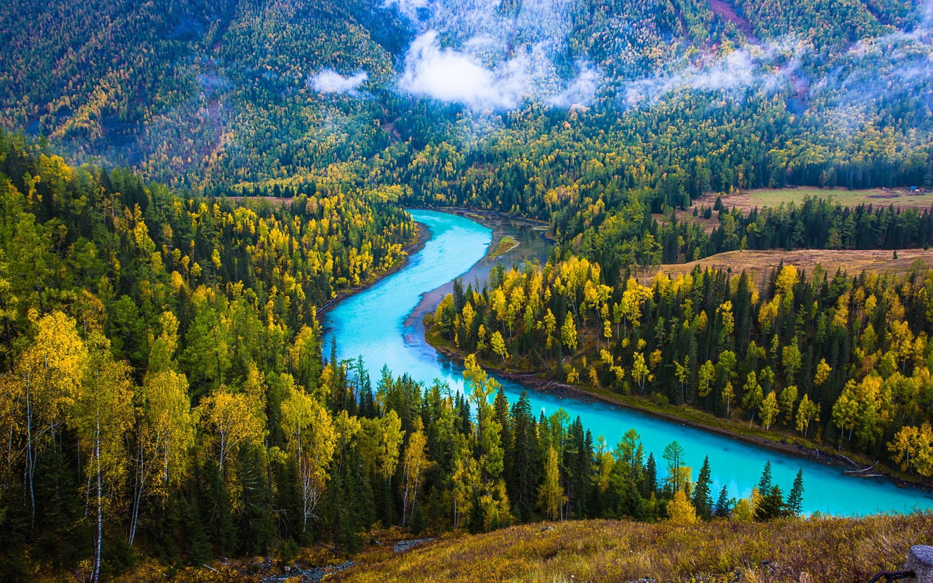 lake, wallpape, change, photo, day, water, pine tree, travel, kanas, no people, china, flowing water, non-urban scene, environment, tree, tranquil scene, HD Wallpaper