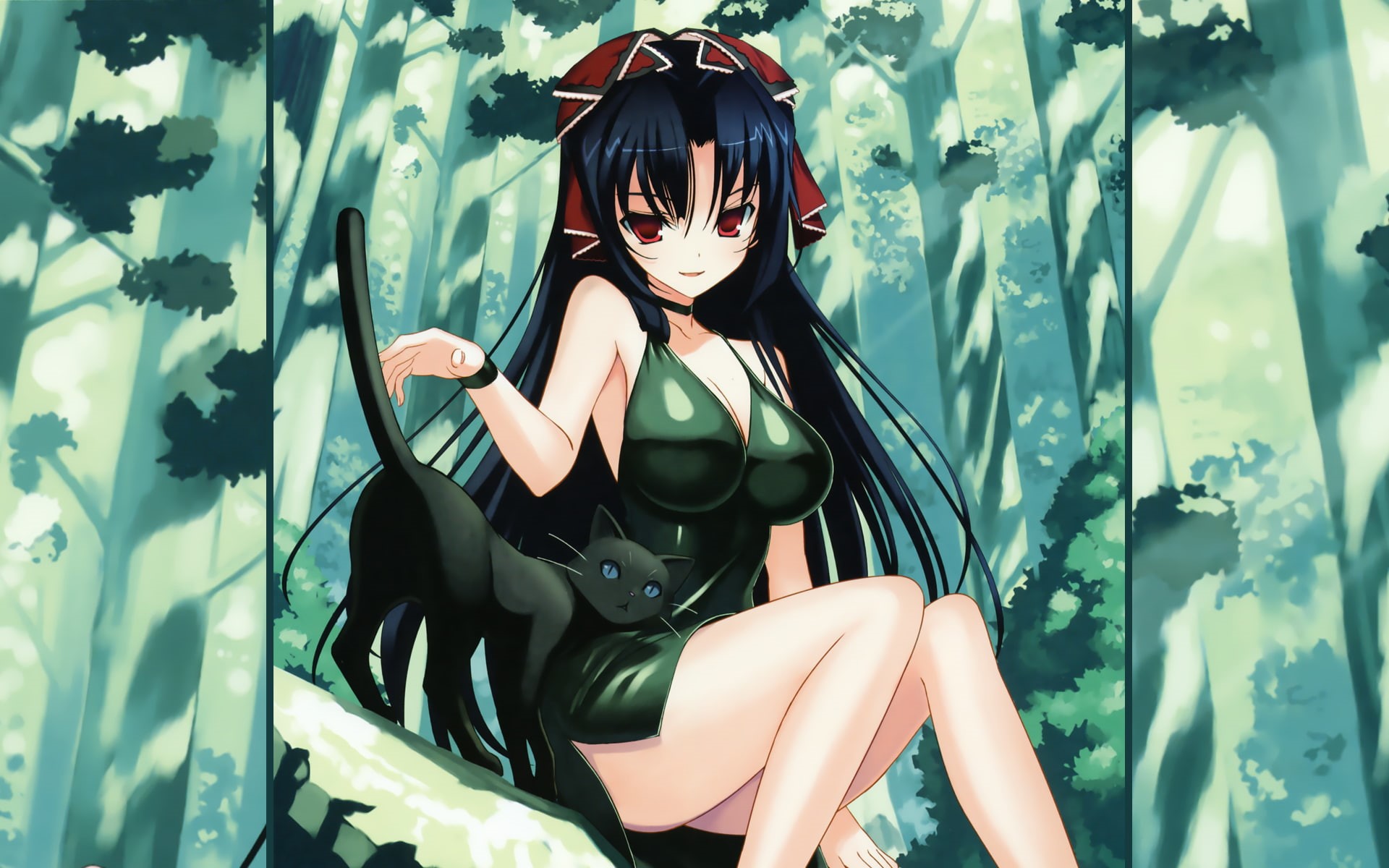 animal, kanae, bou, cat, 1080P, kuroshiba, 11 eyes, HD Wallpaper