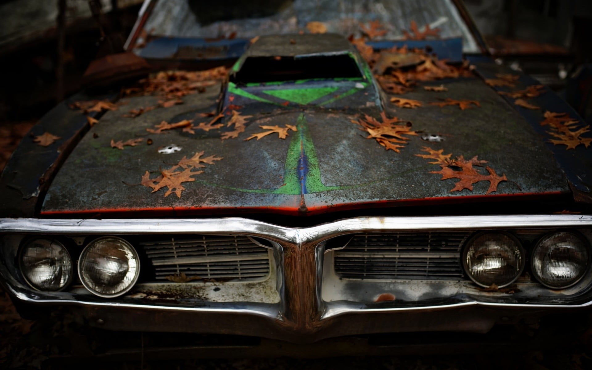 plant part, no people, run-down, outdoors, day, change, leaves, green, retro styled, motor vehicle, 1080P, nature, Pontiac, old, leaf, abandoned, close-up, HD Wallpaper