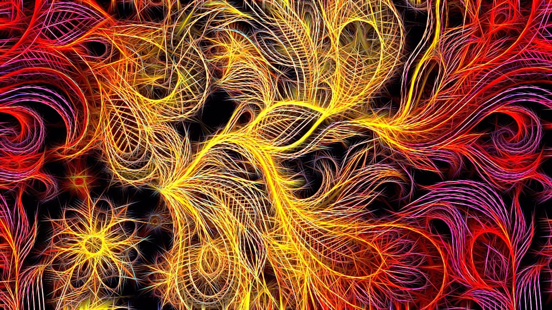 " feather of the Firebird", fractal picture, black background, abstraction, 1080P, screensaver on your desktop, fiery shades, fantasy, HD Wallpaper