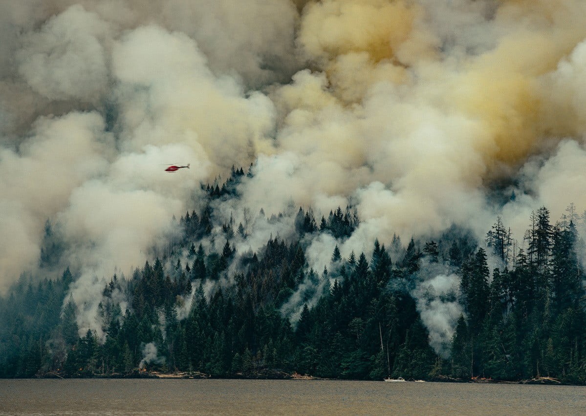 environmental damage, land, cloud - sky, plant, abstract, 480P, non-urban scene, painting, fire, no people, environment, beauty in nature, flying, power in nature, HD Wallpaper