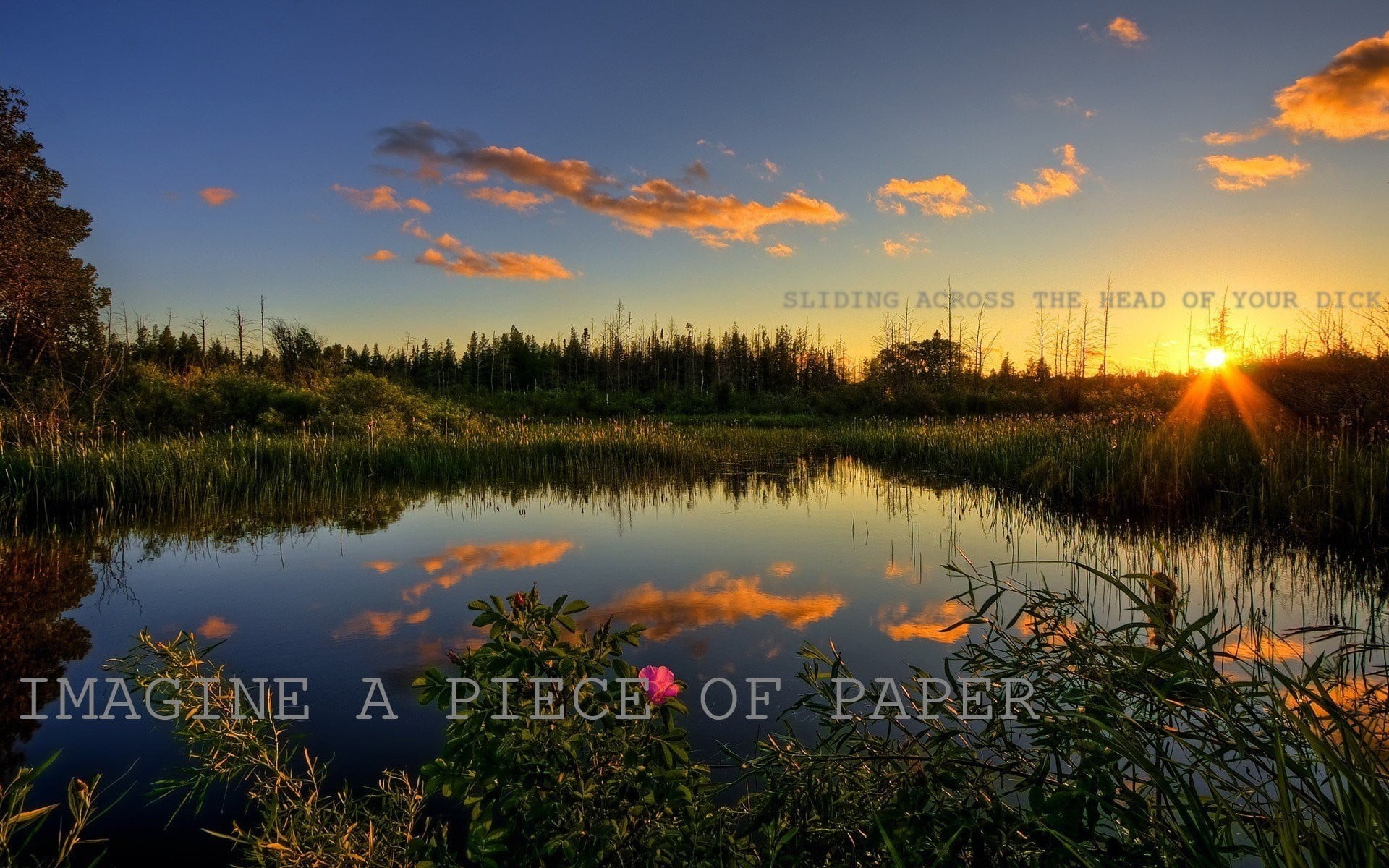 1080P, quote, reflection, demotivational, sunset, illustration, body, orange color, water, cloud - sky, sky, no people, tranquil scene, non-urban scene, HD Wallpaper