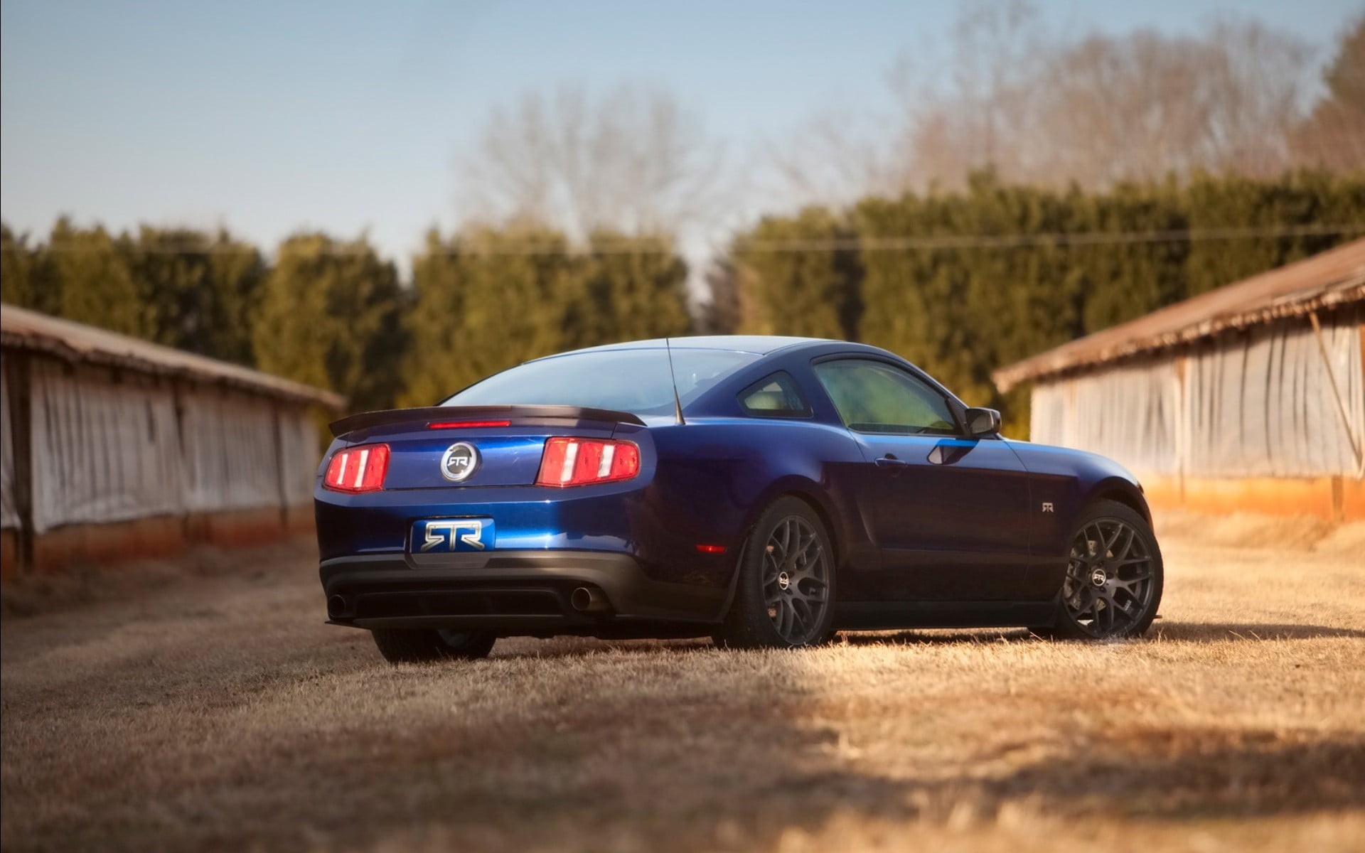 Ford Mustang, travel, motion, car, on the move, motor vehicle, road trip, selective focus, field, land, outdoors, mode of transportation, day, 1080P, Ford, HD Wallpaper