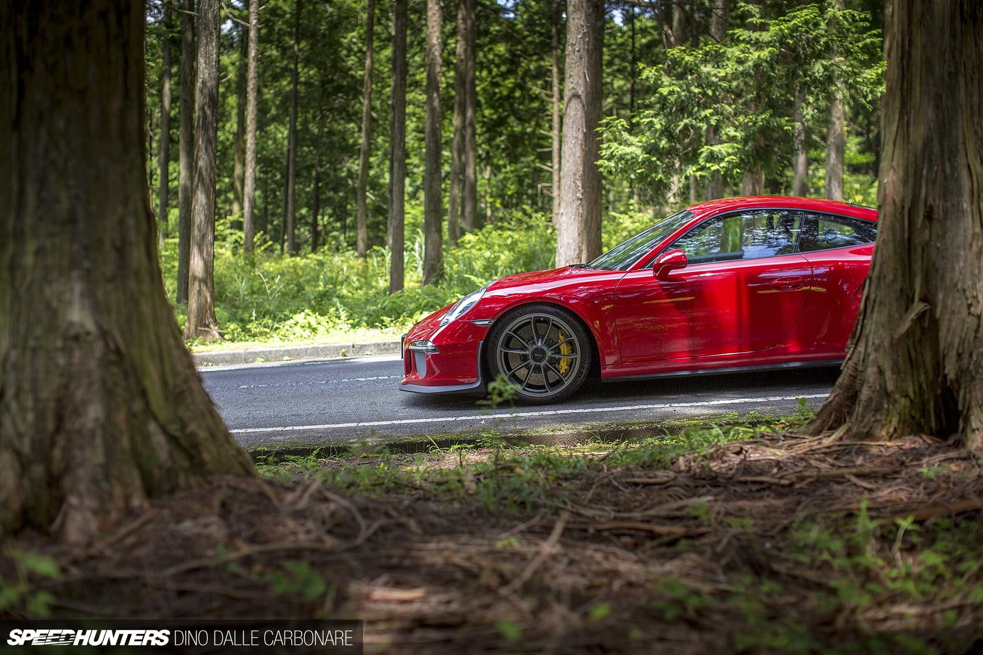 land vehicle, tree trunk, land, Porsche, woodland, tree, trunk, Porsche 911, 1080P, nature, Porsche 911 GT3, transportation, red cars, forest, no people, HD Wallpaper
