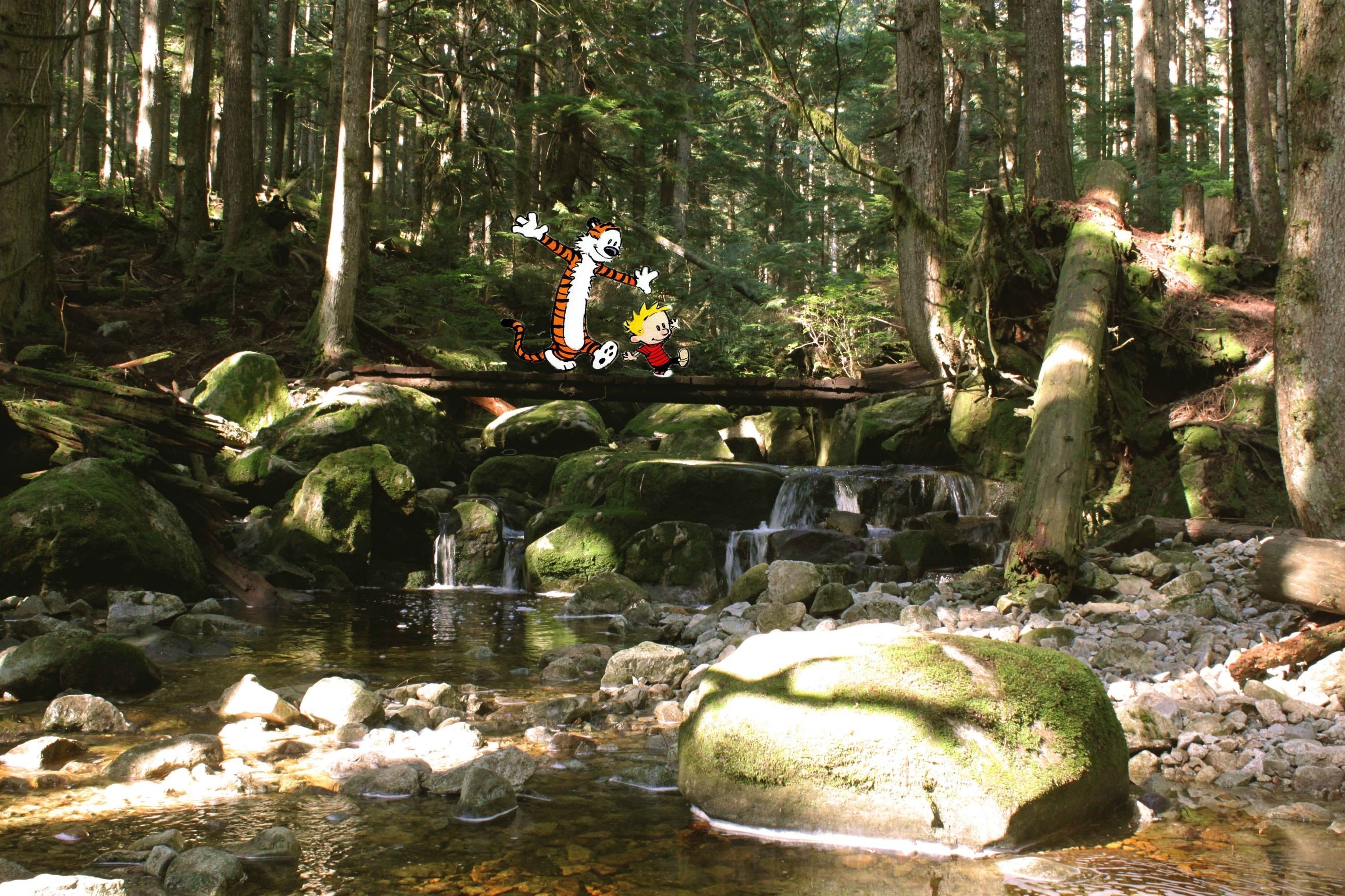 comics, river, beauty in nature, Calvin y Hobbes, day, flowing water, growth, leisure activity, tree, nature, rock, 2K, water, plant, stream - flowing water, HD Wallpaper