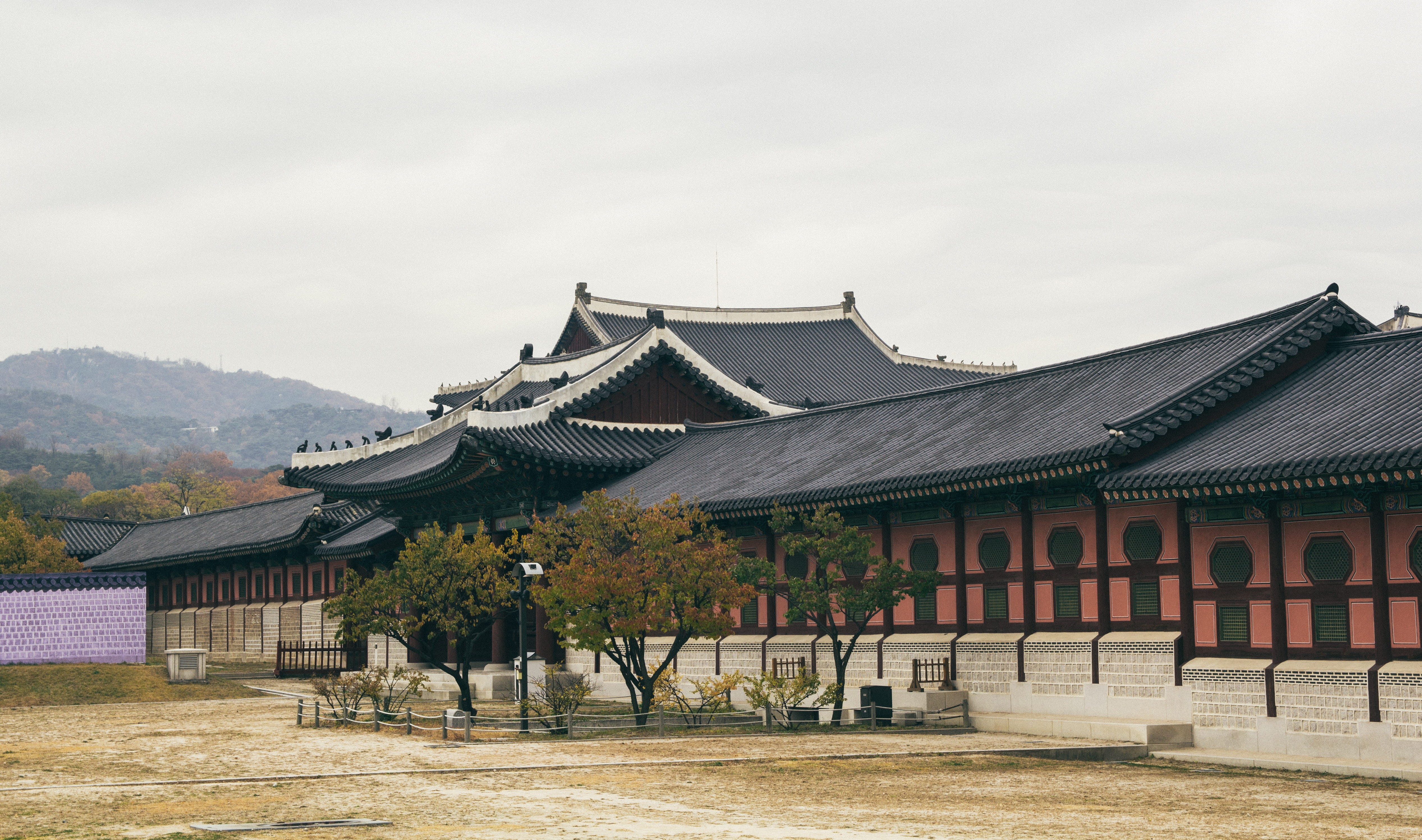historic, the past, tree, building, travel destinations, religion, architecture, history, roof, no people, dynasty, place of worship, 4K, outdoors, gyeongbokgung, HD Wallpaper