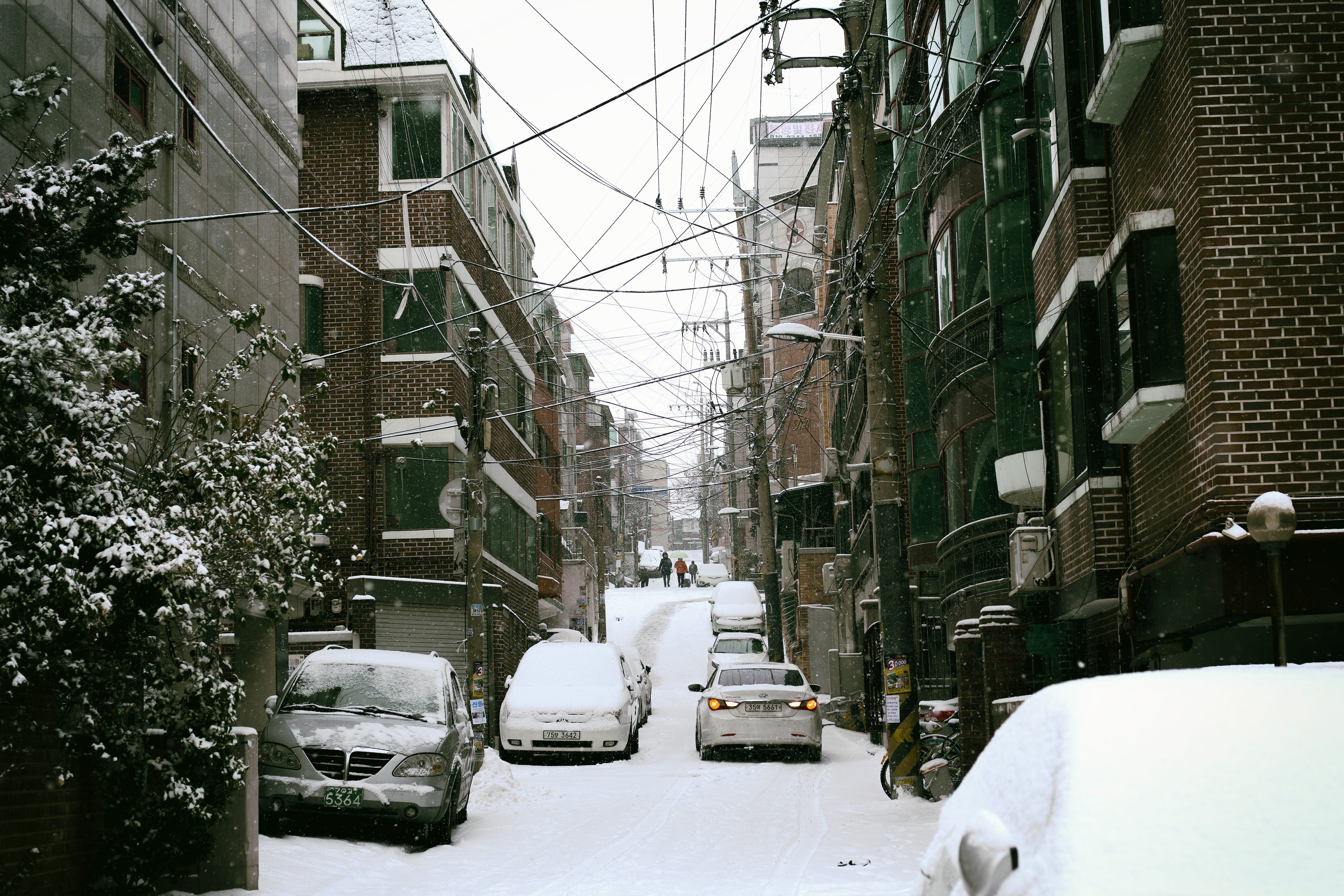 city, building, tree, south korea, building exterior, snowing, architecture, mode of transportation, seoul, motor vehicle, nature, winter, car, snow, residential district, HD Wallpaper