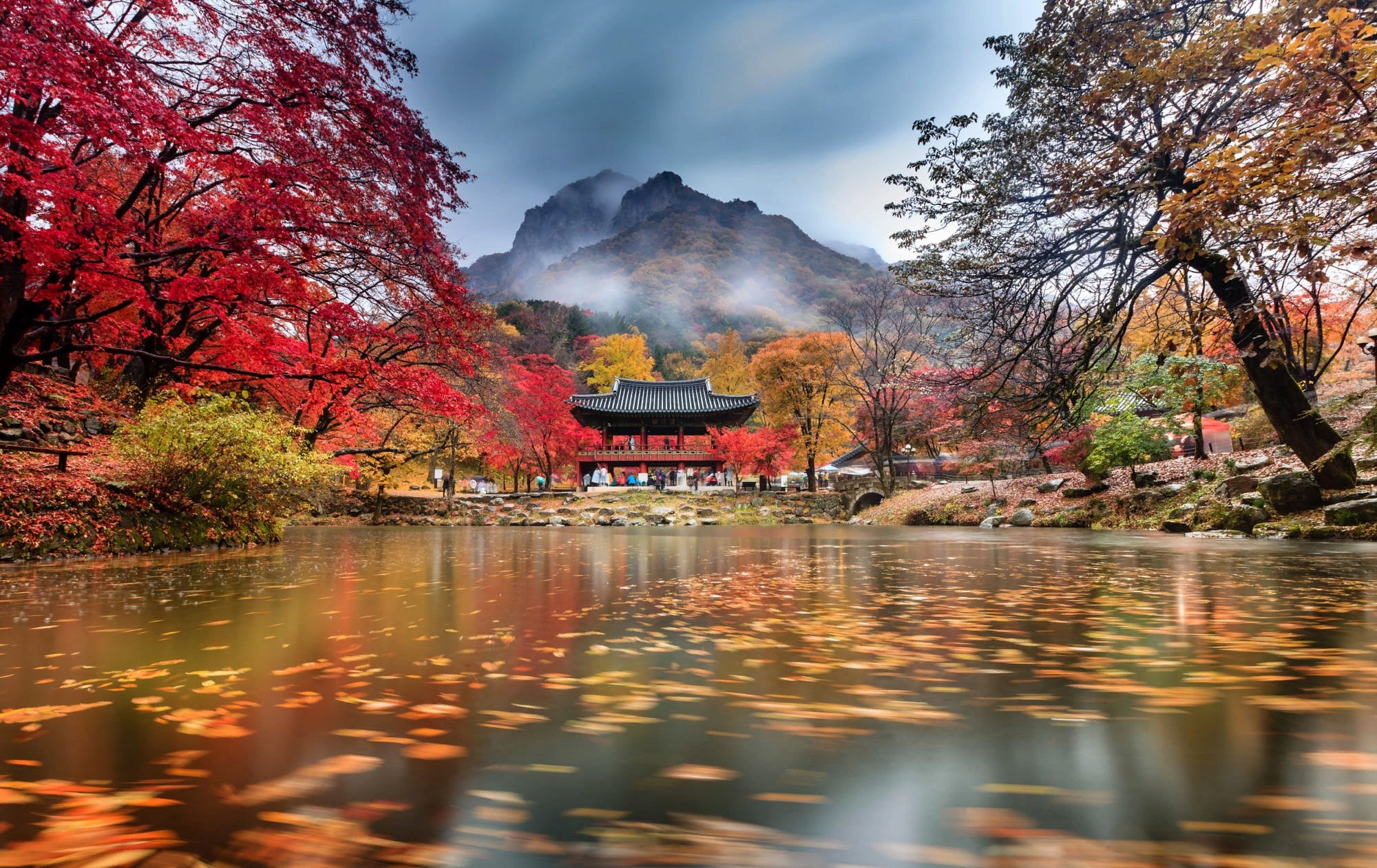 fog, clouds, 1080P, mountains, South Korea, autumn, pond, temple, Baegyangsa, trees, Park, Naejangsan, HD Wallpaper