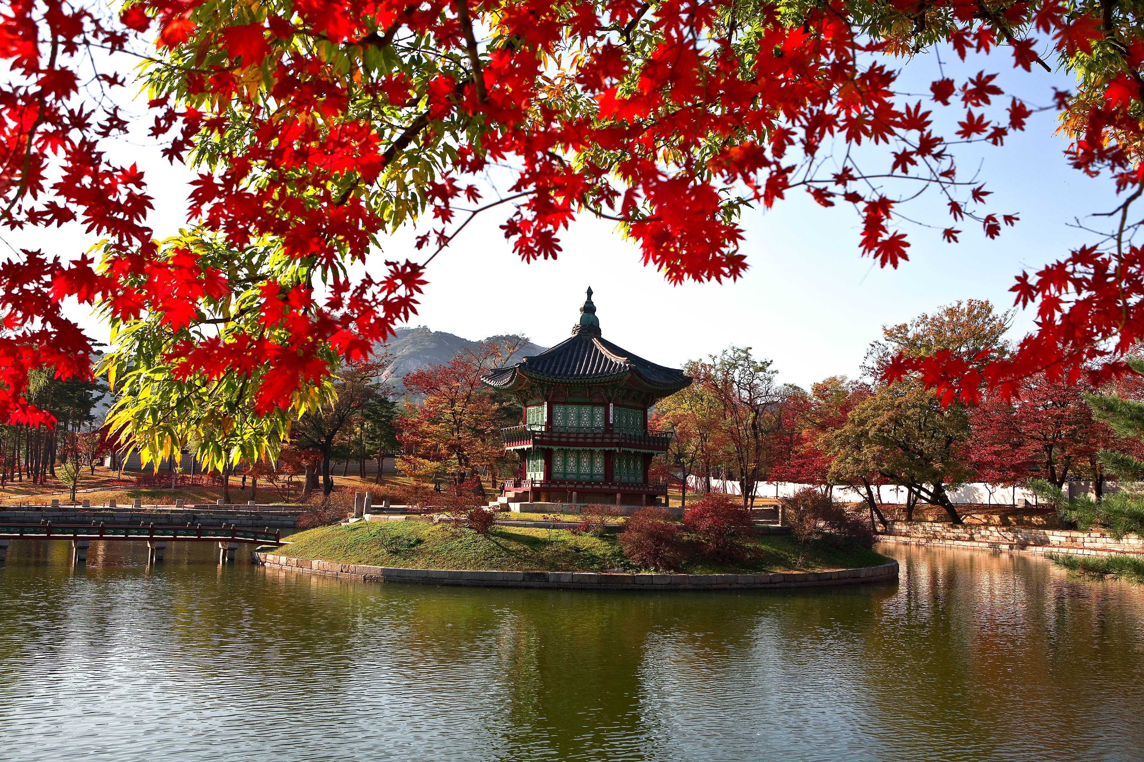 built structure, 4K, shrine, gyeonghoeru, palace, cultural property, growth, tree, photography, beside, change, body, green, korea, korean, plant, red, HD Wallpaper