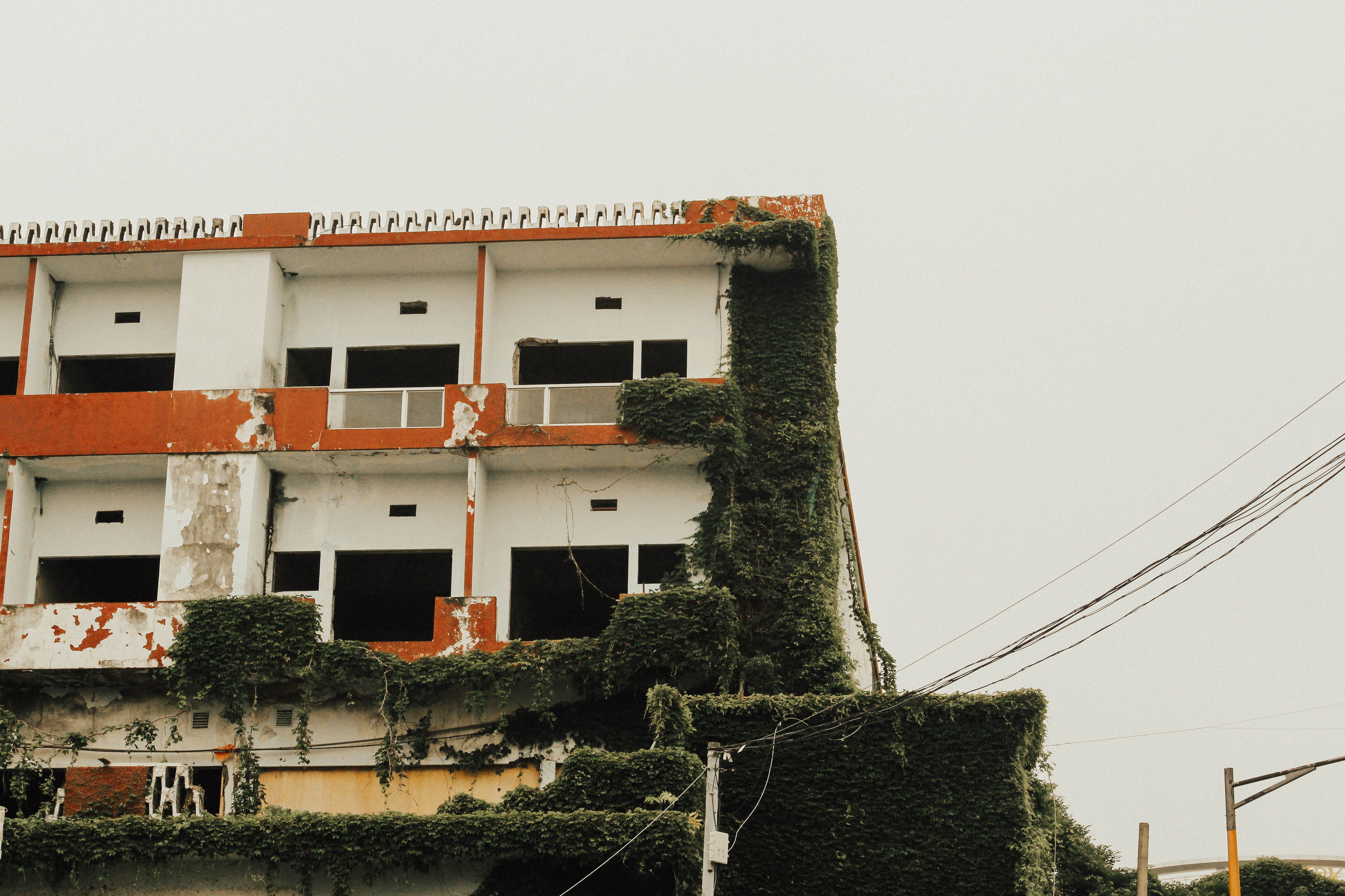 building, green, 5K, outdoors, deterioration, abandoned, south korea, growth, aesthetic, no people, plant, ivy, jeju island, minimal, building exterior, HD Wallpaper