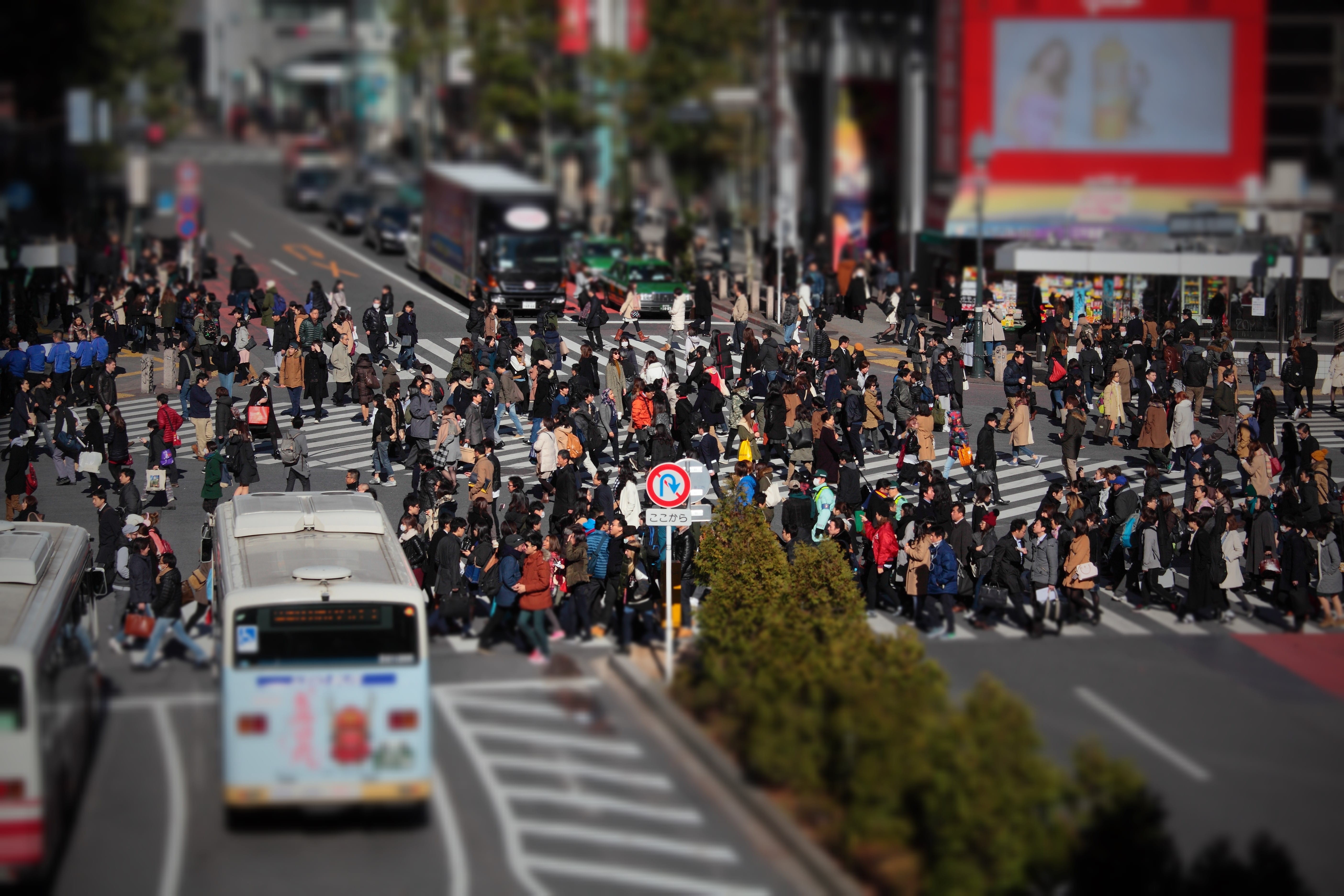 people, transportation, 5K, real people, mode of transportation, traffic, intersection, high angle view, bus, group of people, crossing, pedestrian, land vehicle, HD Wallpaper