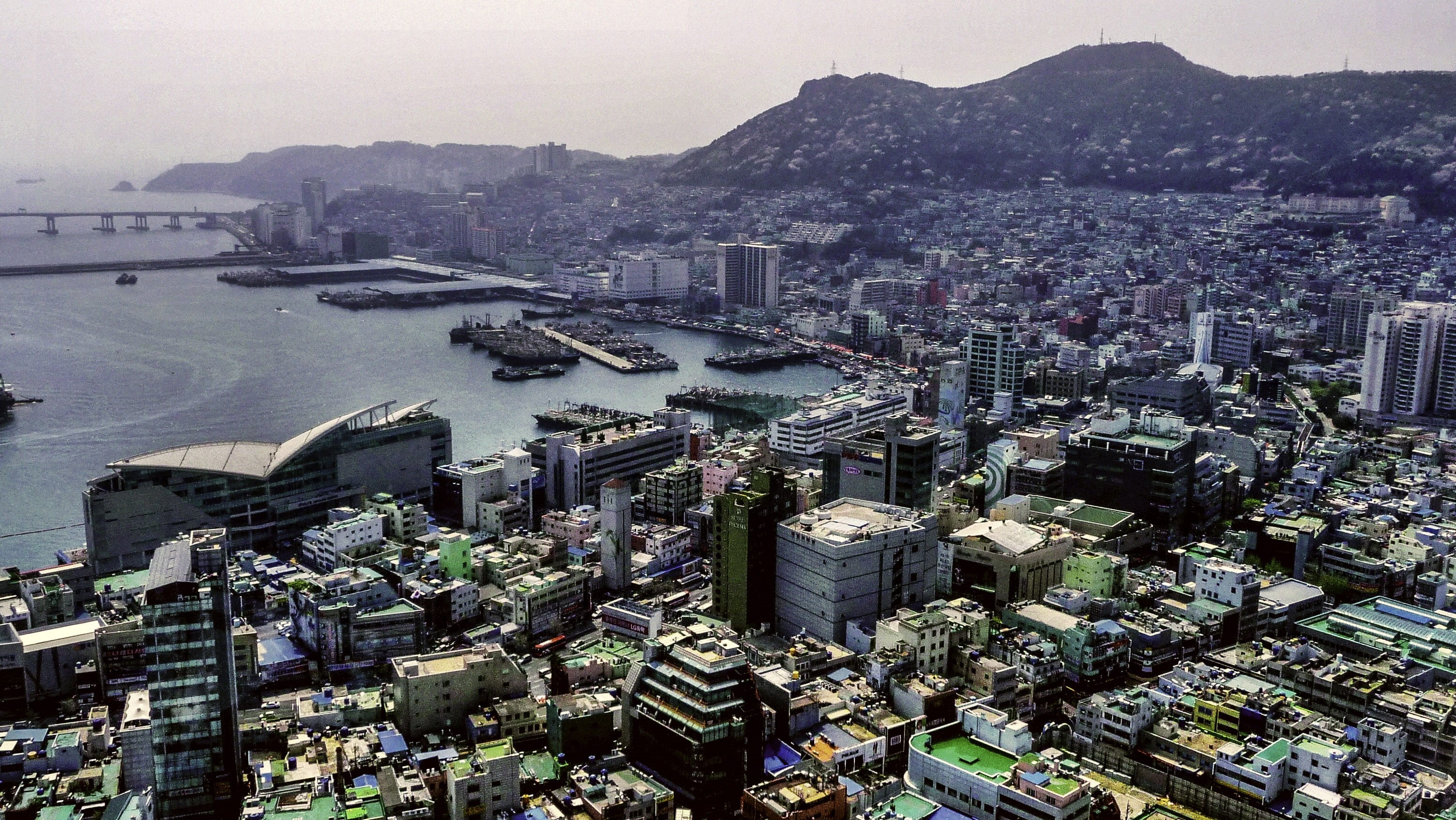 public domain, high angle view, cityscape, busan, urban Scene, 2K, market, photos, urban, skyscraper, architecture, city life, fish, apartment, urban Skyline, HD Wallpaper