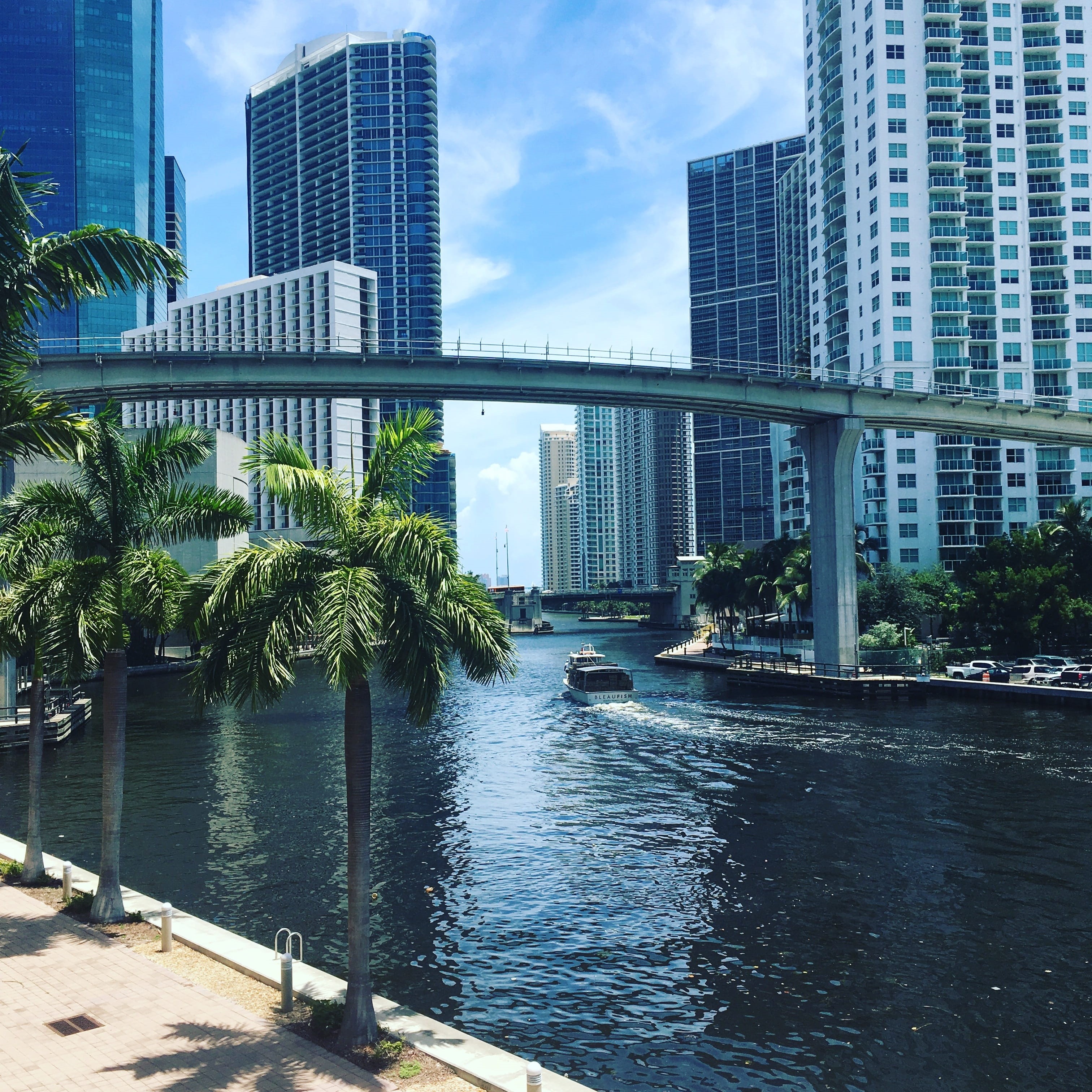 day, lake, concrete, 2K, reflection, River, Miami, sky, built structure, Skyscraper, tree, financial district, skyline, city, architecture, miami, distance, Phone HD Wallpaper