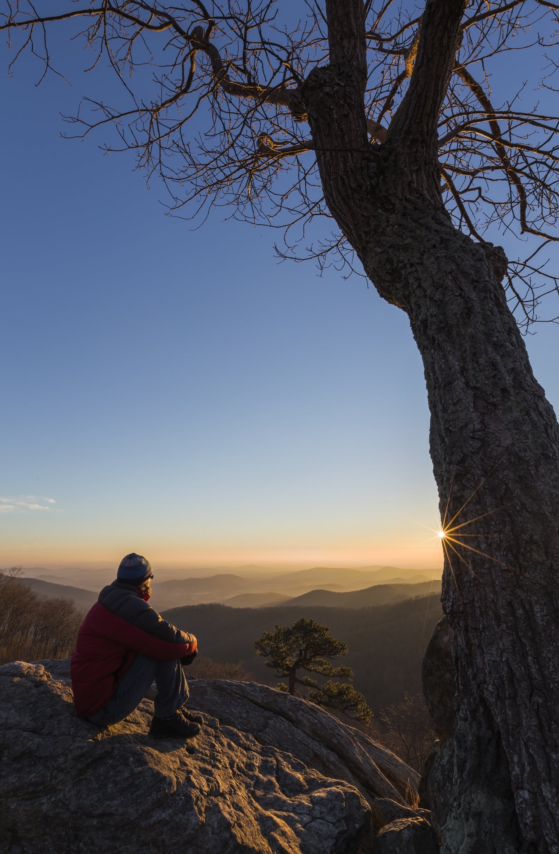 hiker, sky, cliff, scenic, peaceful, rock, tree trunk, summit, hazel mountain overlook, man, sunrise, pensive, shenandoah national park, trunk, real people, Phone HD Wallpaper