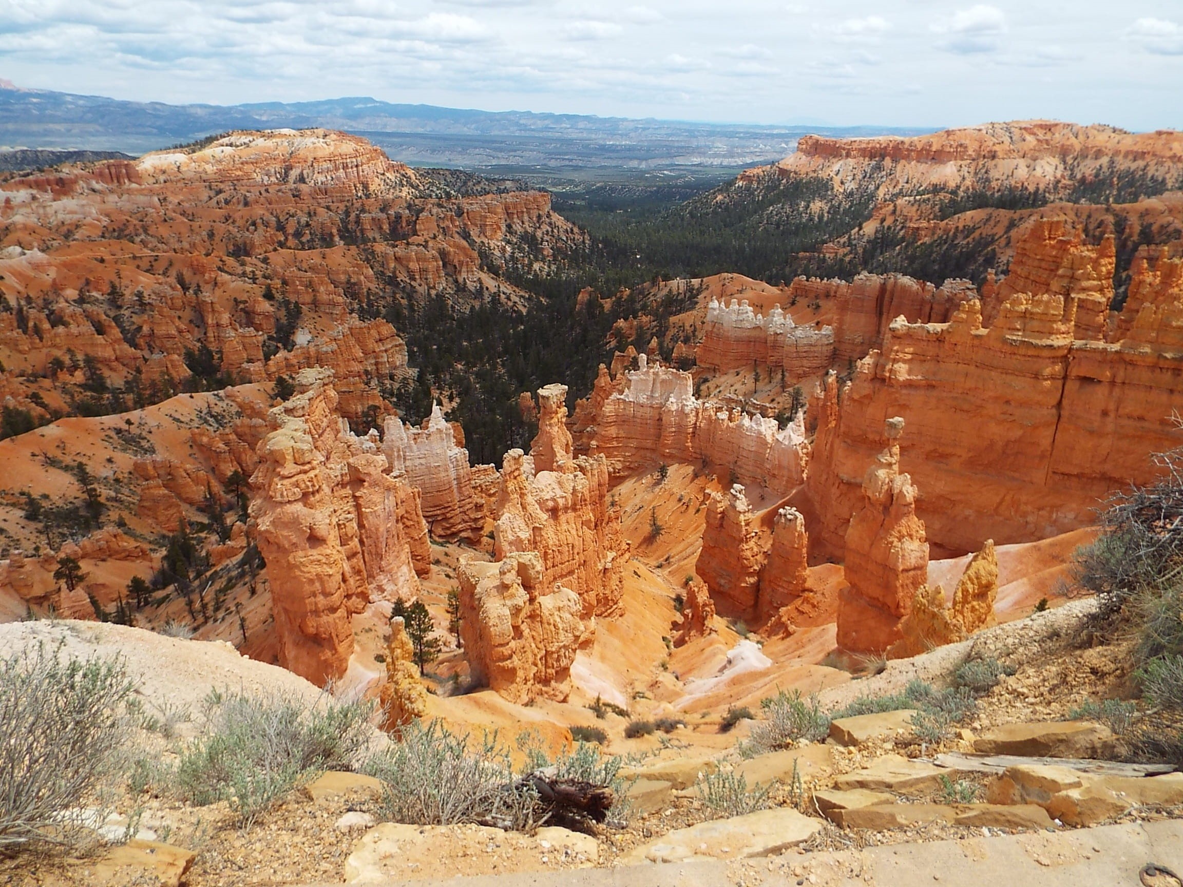 tourist, pine, National Forest, tranquil scene, hiking, point, scenics, tourism, solid, forest, 1080P, rock - object, red, usa, remote, Bryce Canyon, landscape, HD Wallpaper