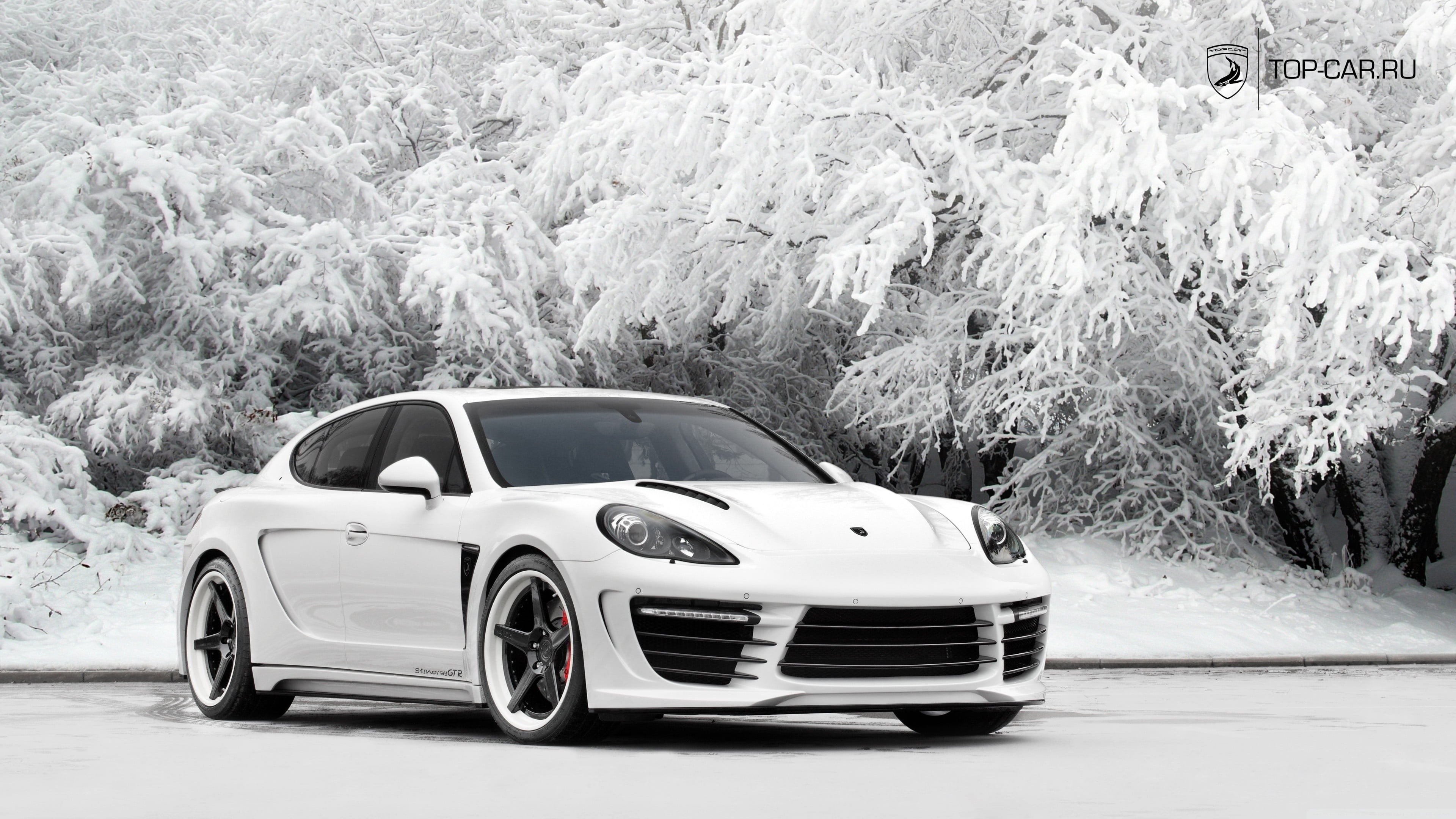 4K, snow, nature, car, white color, transportation, sports car, day, mode of transportation, tree, retro styled, luxury, winter, wealth, wheel, Porsche Panamera, HD Wallpaper