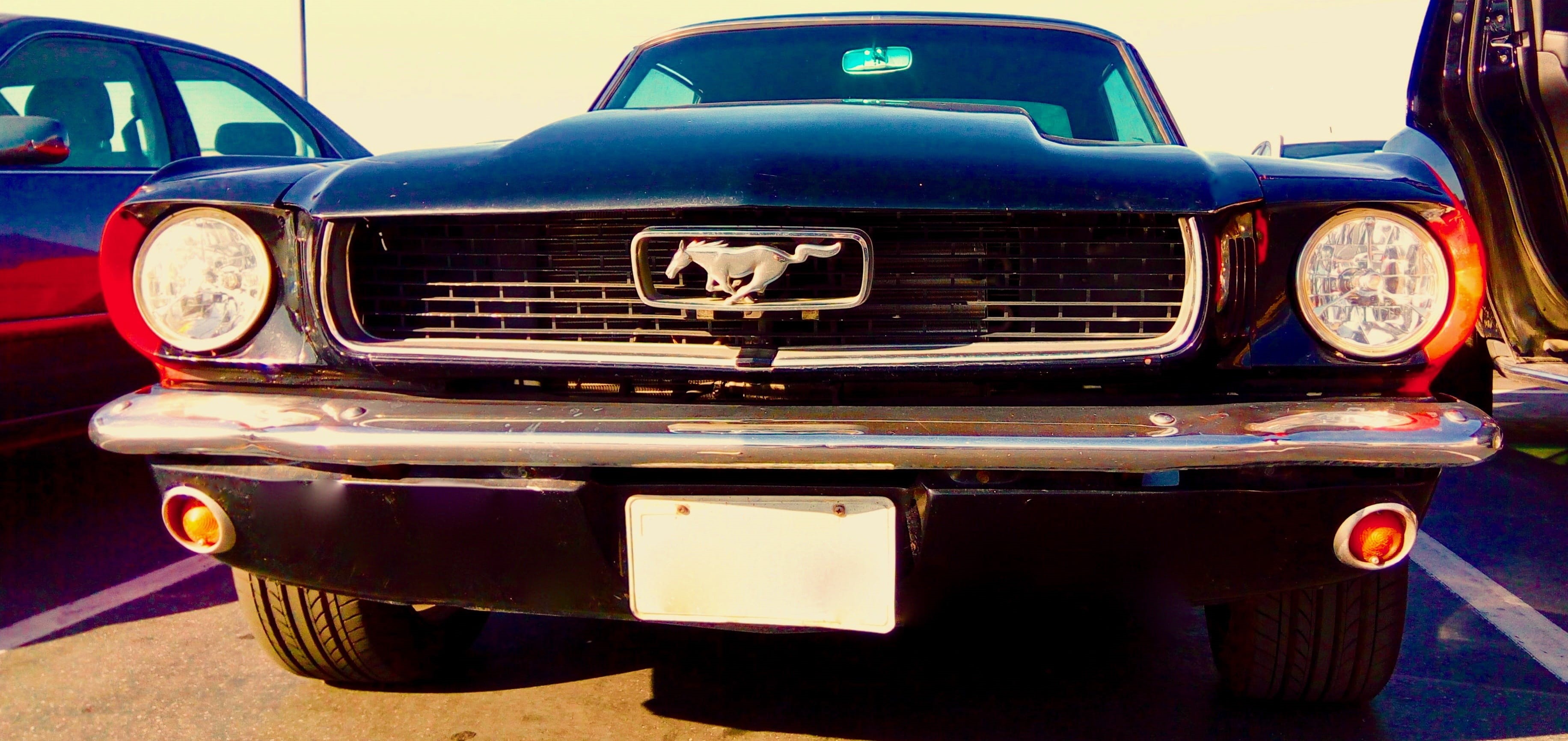 logo, motor vehicle, old car, front view, san francisco, california, american car, fast, historically, daytime, old, junkyard, retro Styled, view, mode of Transport, HD Wallpaper