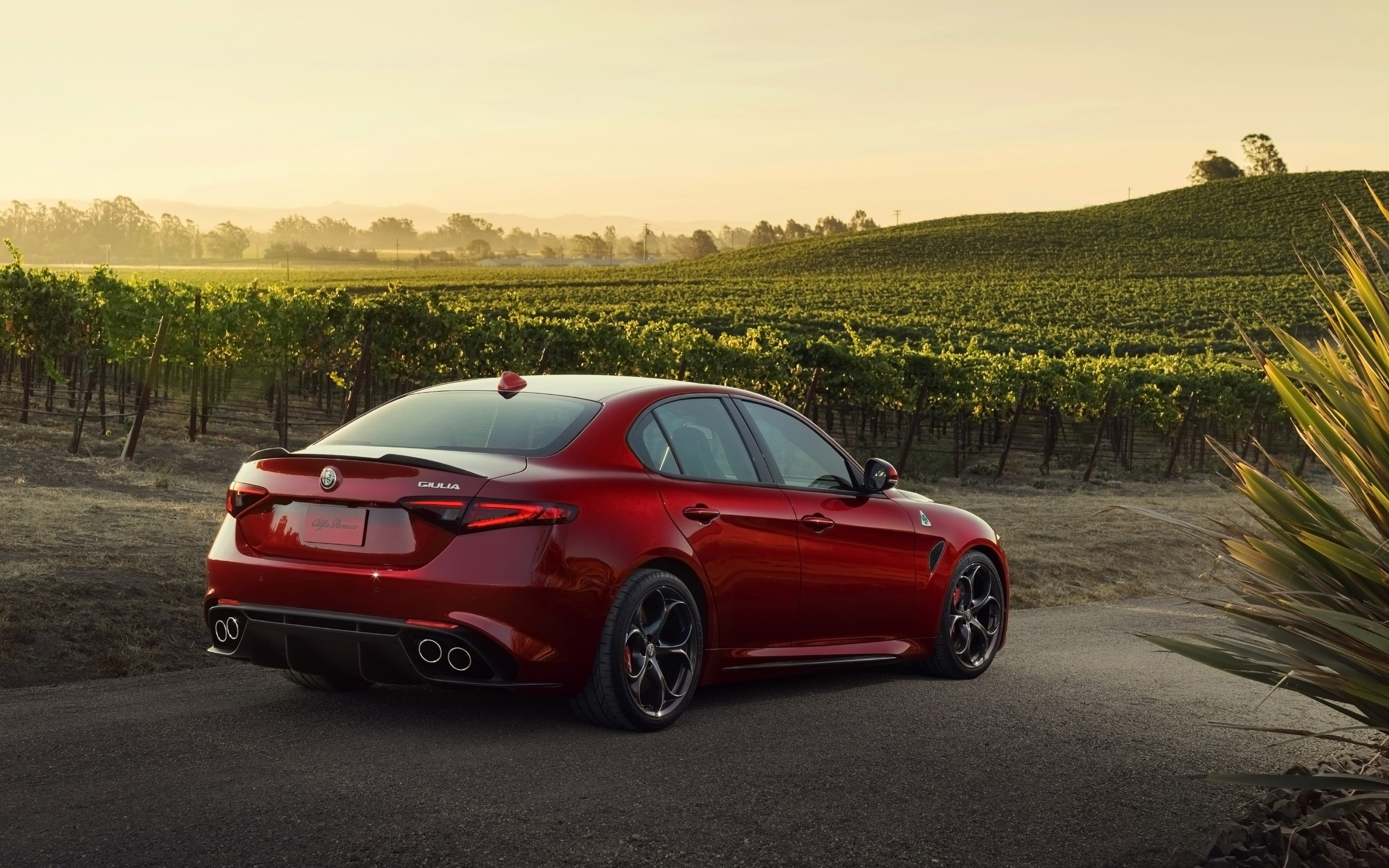 car, 2017, sportscar, romeo, alfa, giulia, automobile, 2K, quadrifoglio, vehicle, auto, HD Wallpaper