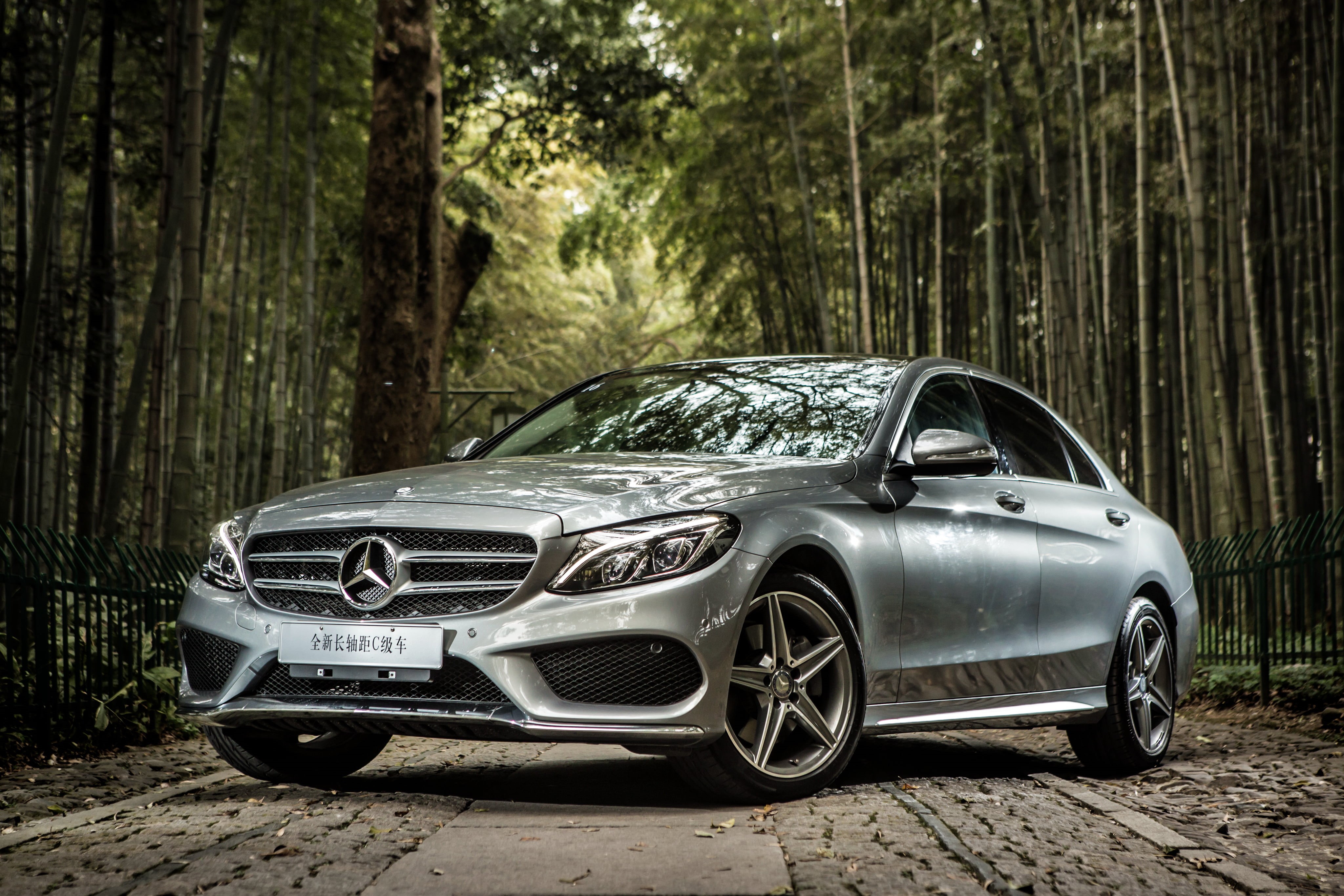 Mercedes, car, AMG, no people, luxury, W205, trunk, Mercedes-Benz, retro styled, tree trunk, mode of transportation, vintage car, nature, silver colored, HD Wallpaper