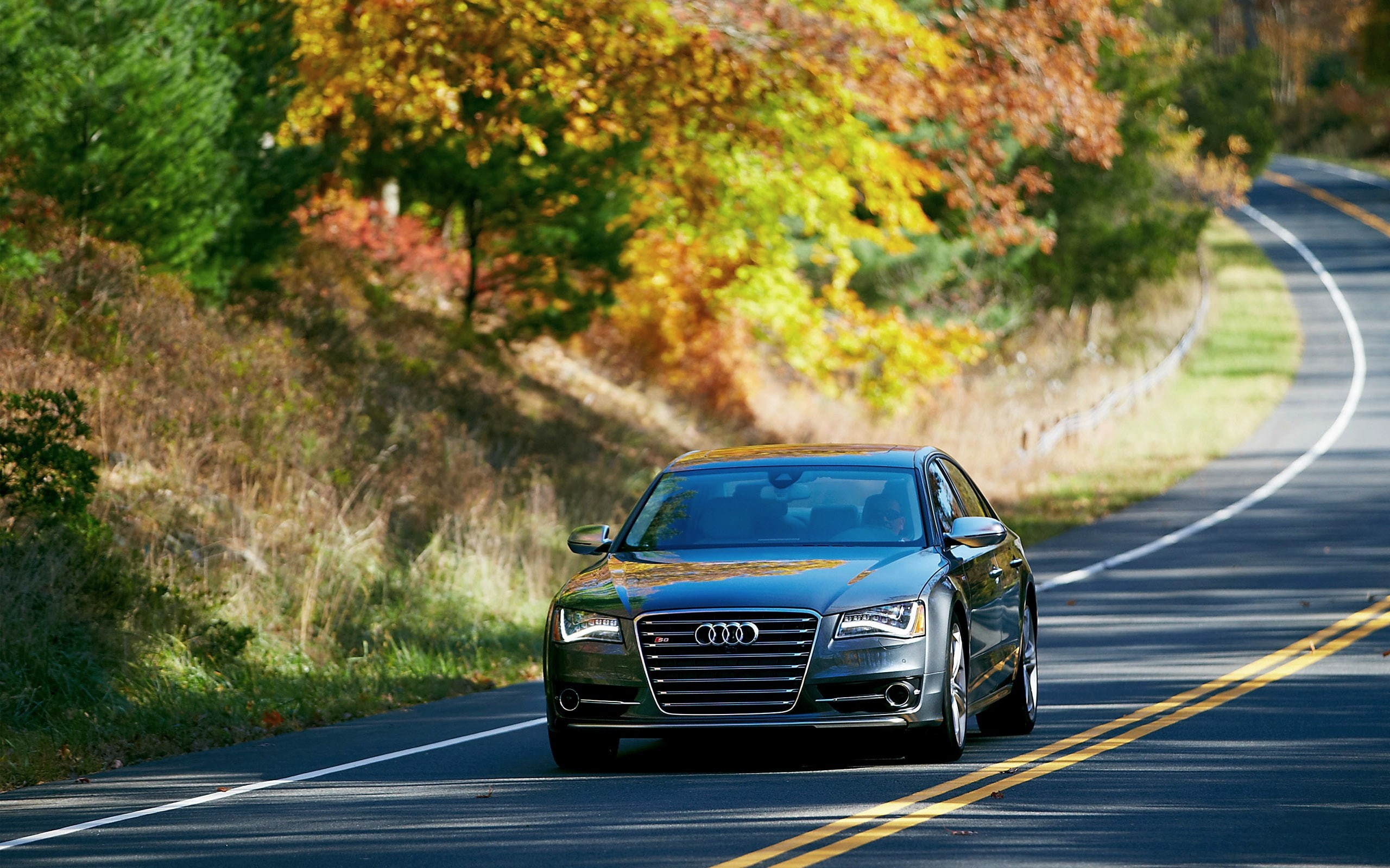 2K, Sedan, s, street, road, front, trees, black, cars, S8, Audi, car, HD Wallpaper