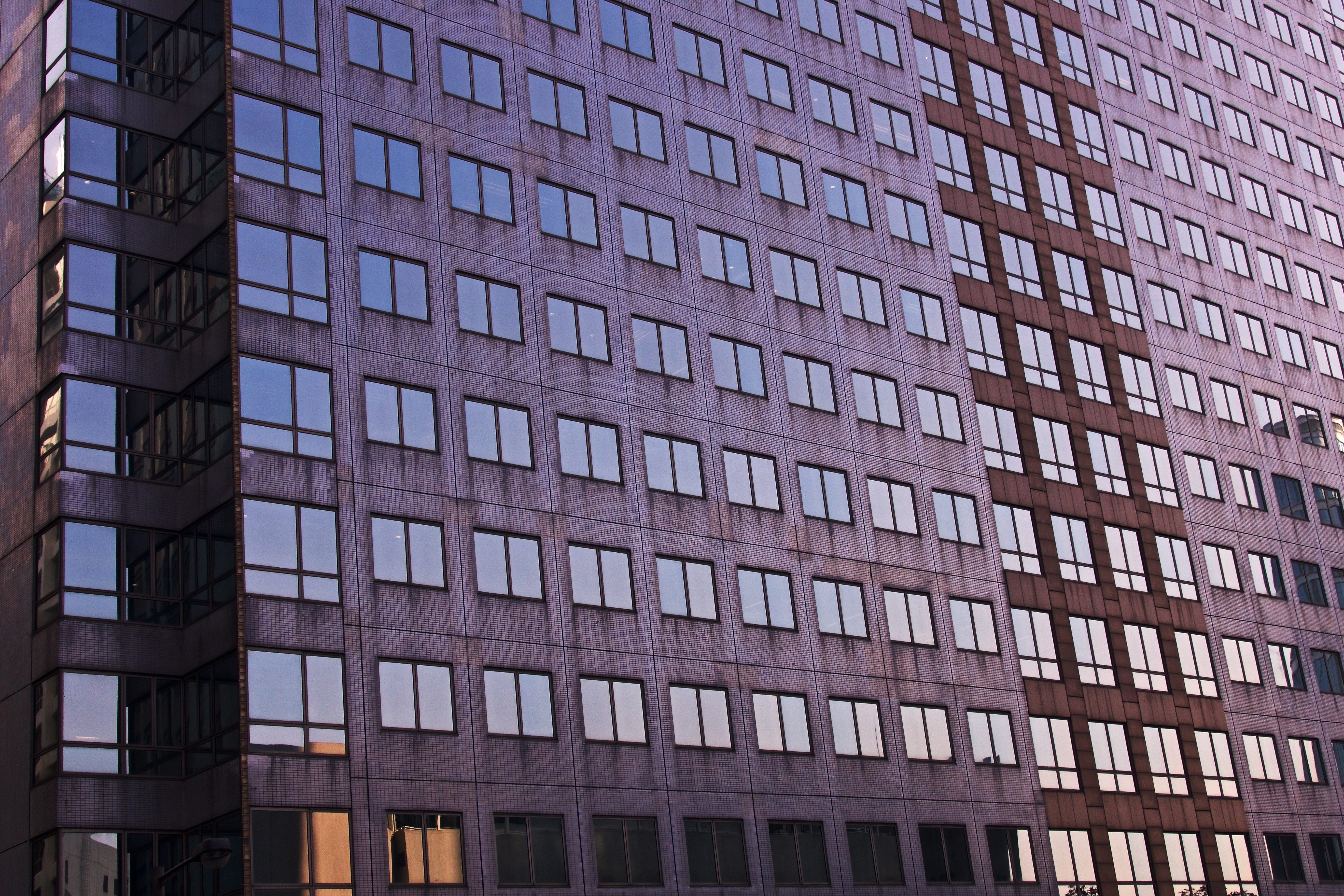 high rise, day, office, purple, architecture, glass, pattern, apartment building, office building exterior, campus, apartment, condo, tree, reflection, HD Wallpaper