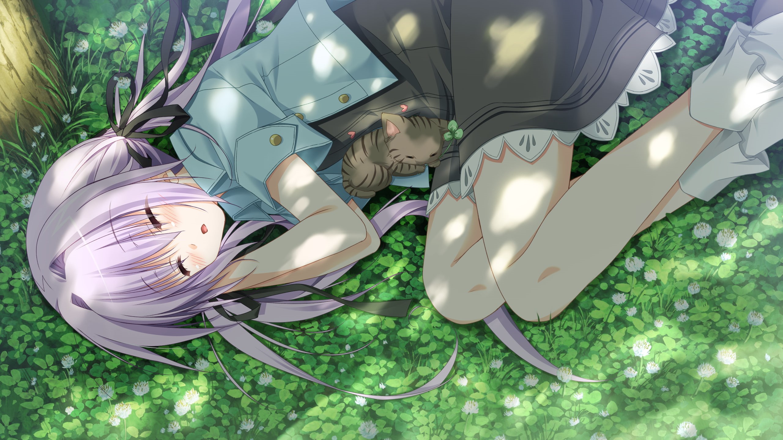 grass, yau, twintails, sleeping, sora, animal, 1 2, kuonji, game, cat, 2K, hair, summer, alcot, purple, sesena, HD Wallpaper