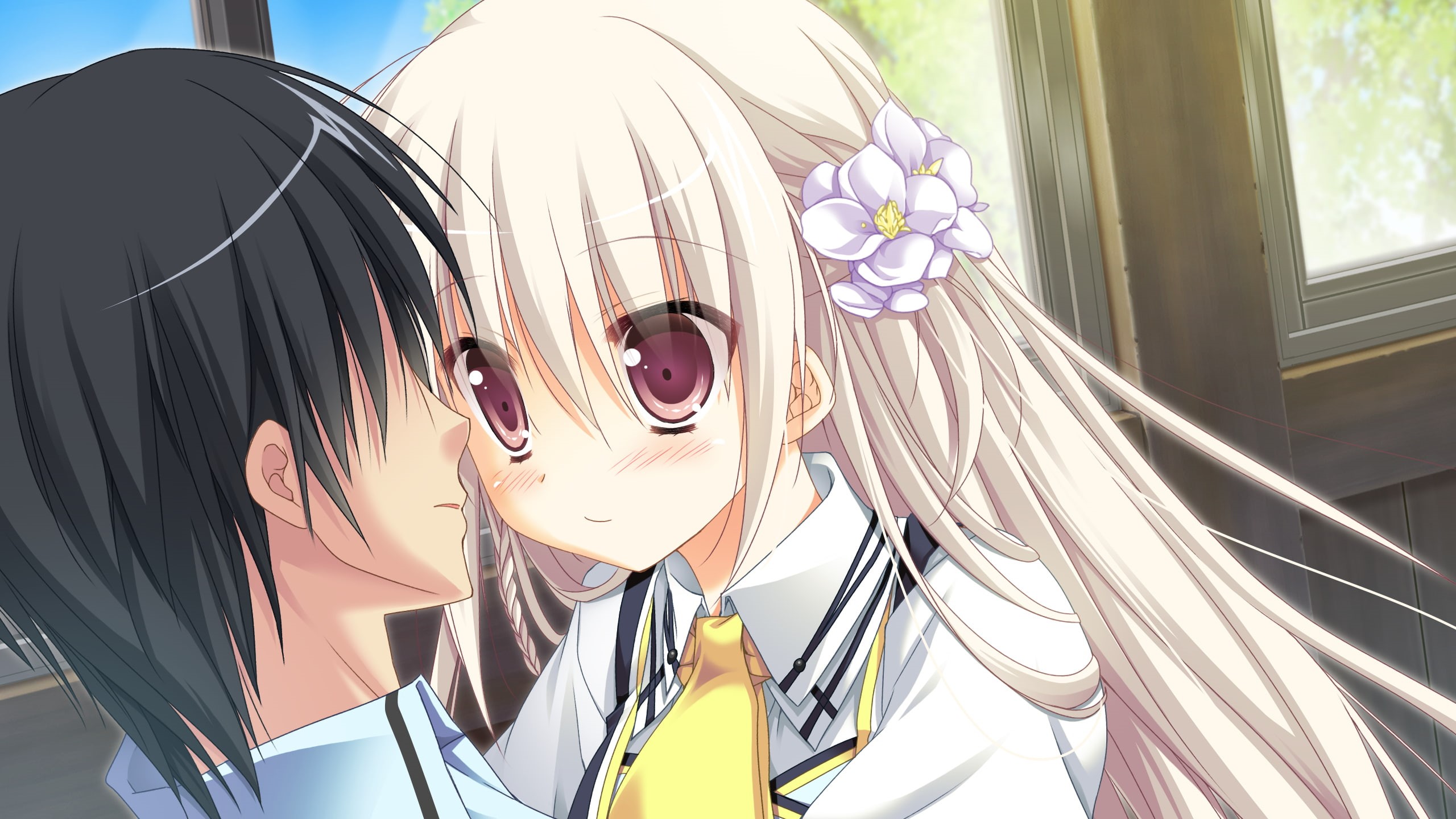 yau, 1 2, 2K, summer, game, sesena, alcot, HD Wallpaper