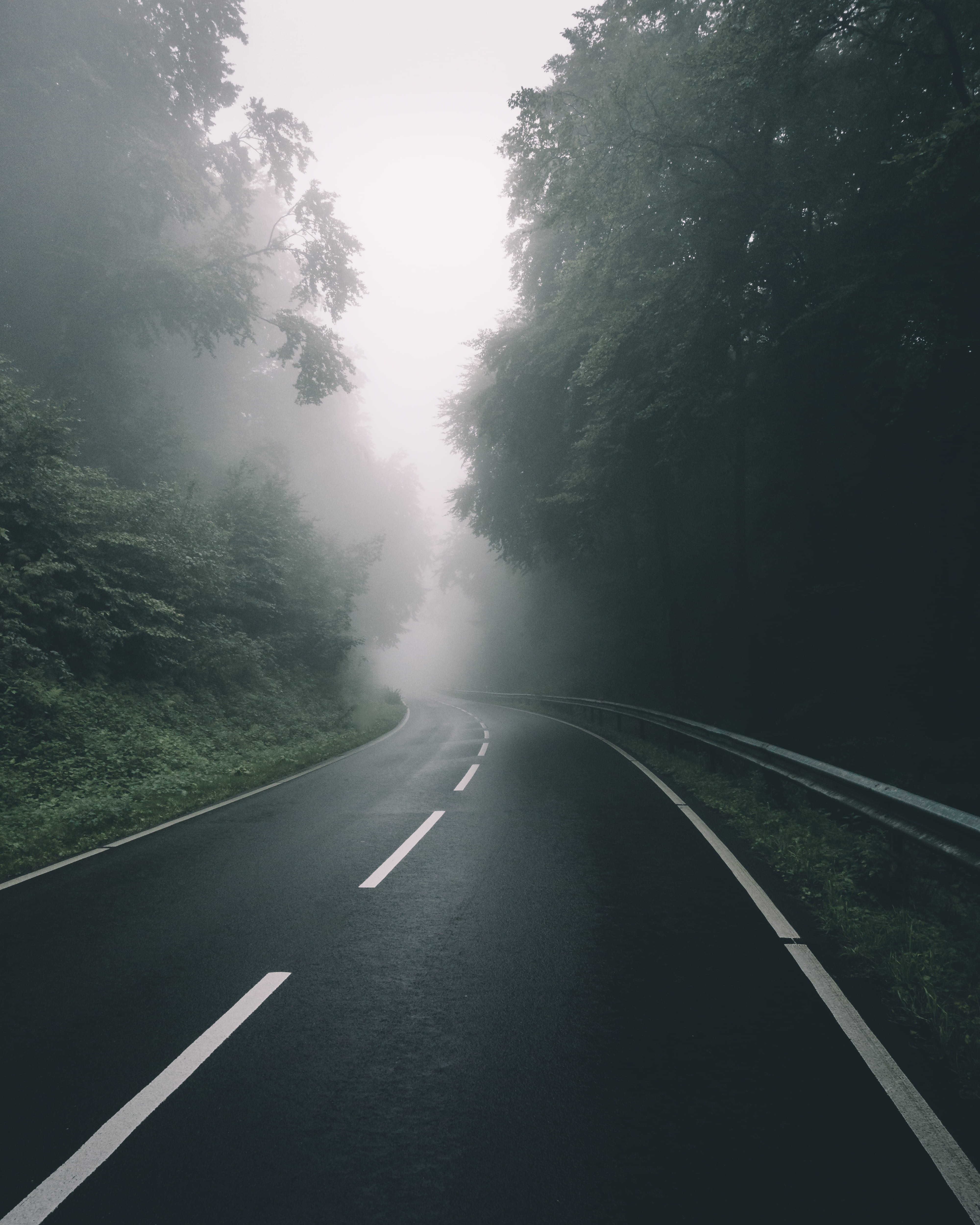 sign, symbol, non-urban scene, the way forward, black, plant, lock screen background, direction, photo, road, day, fog, transportation, nature, diminishing perspective, Phone HD Wallpaper