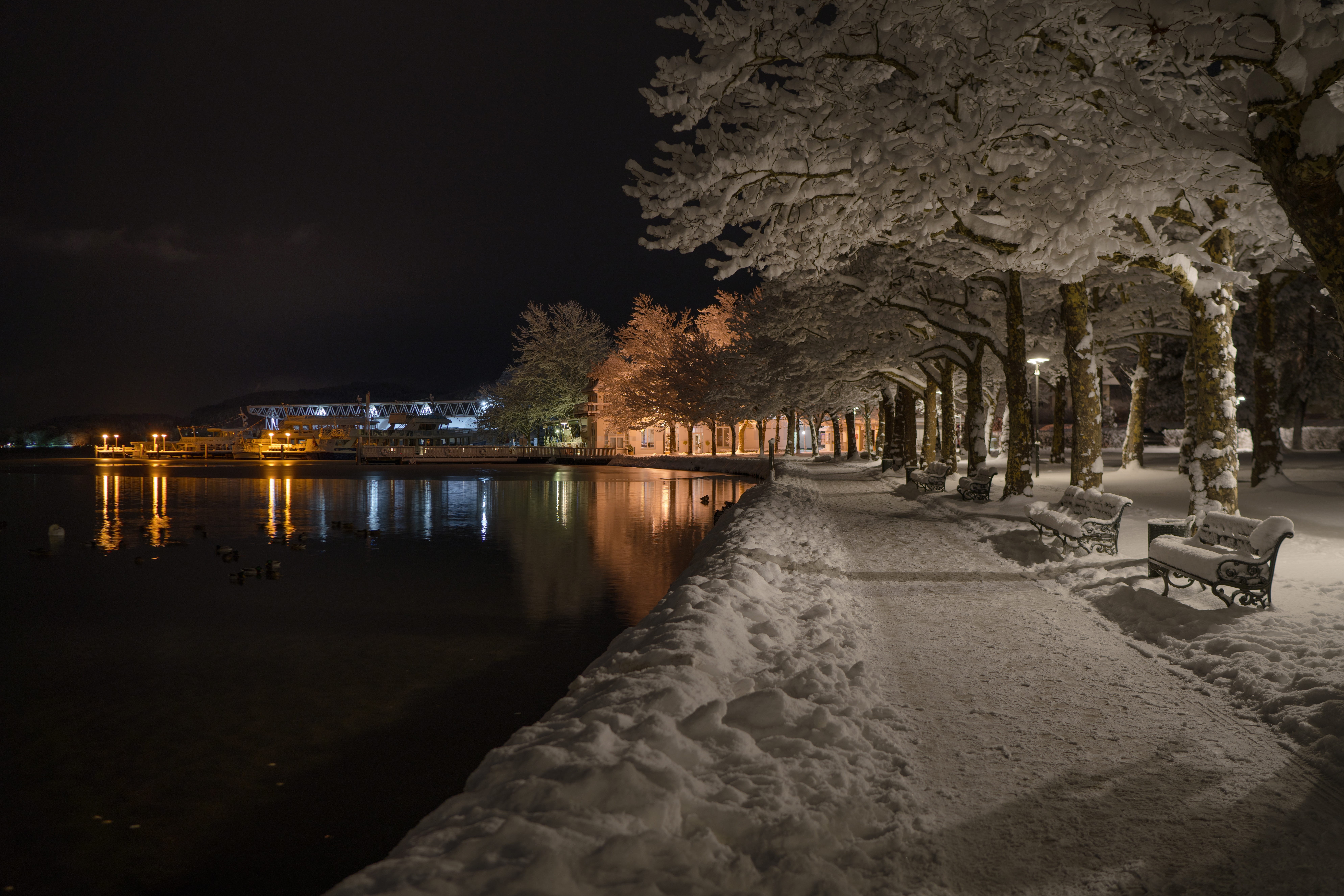 lake, sky, nature, silence, water, building, ducks, bench, lights, plant, building exterior, wörthersee, dark, reflection, winter, beauty in nature, seat, HD Wallpaper