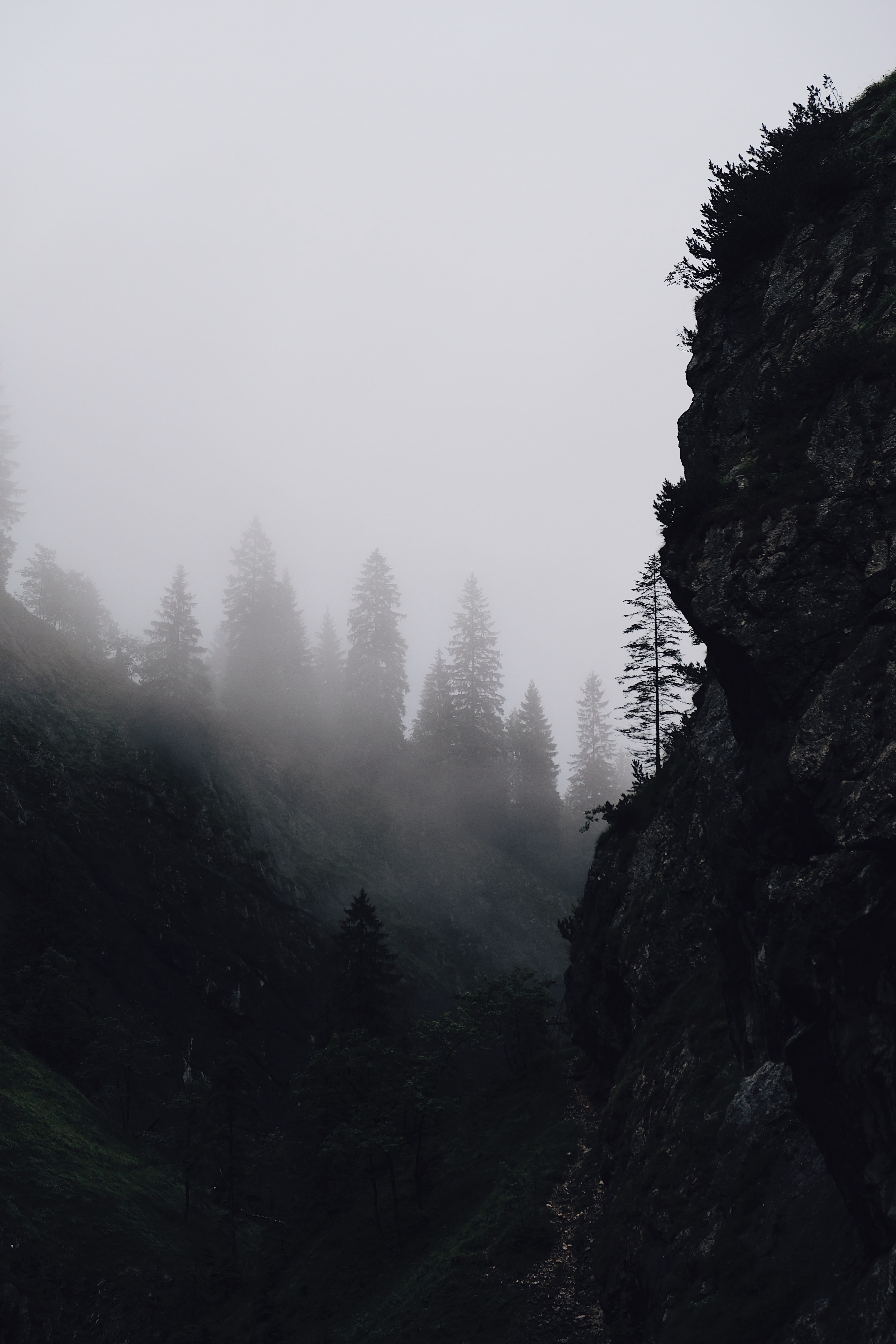 rock - object, sky, no people, cloud, non-urban scene, beauty in nature, tranquility, nature, mountain, tree, iphone, fog, forest, plant, cliff, Phone HD Wallpaper