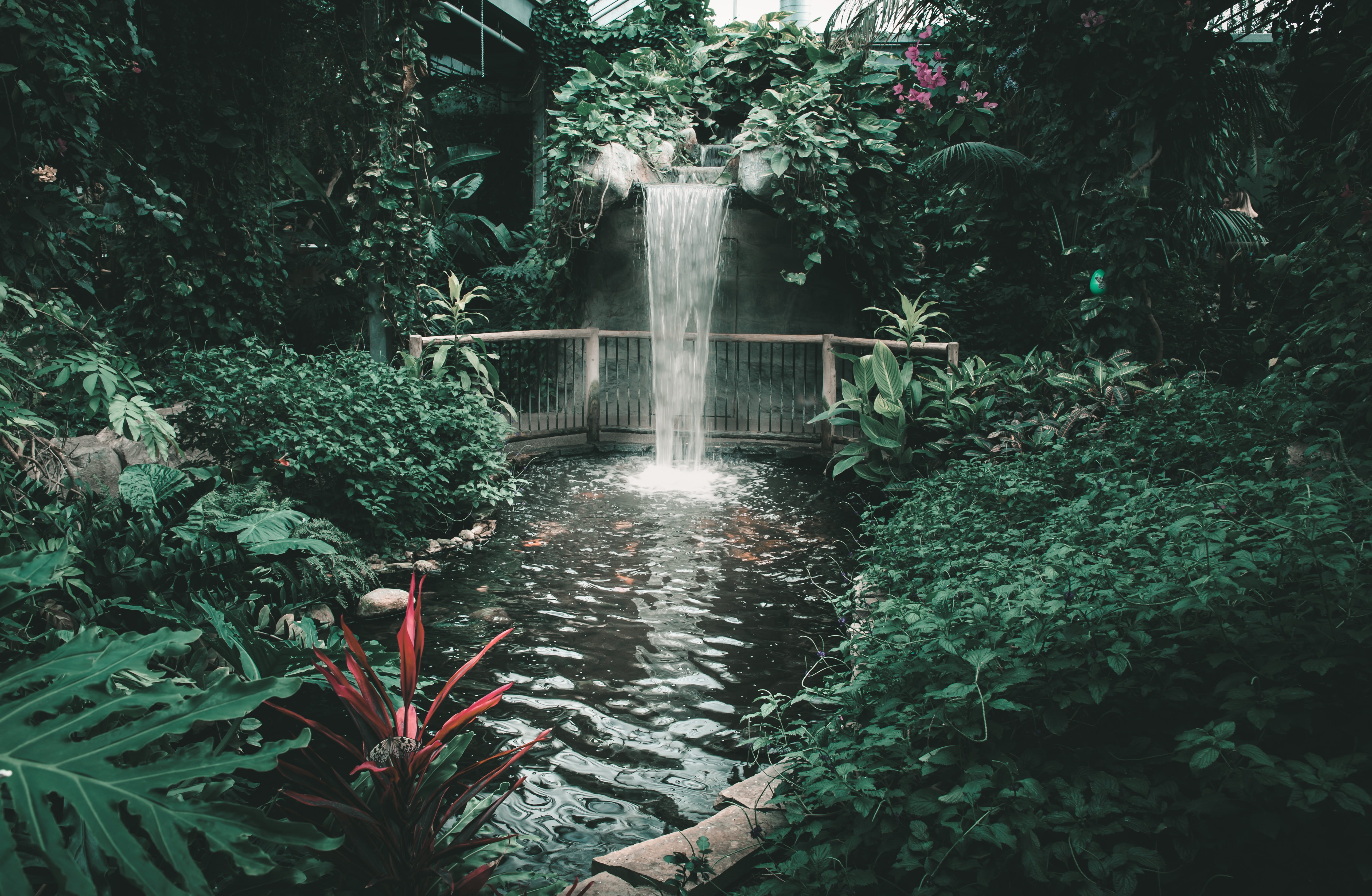 happy, nature, water, no people, flowing, lake, growth, land, spring, motion, scenics - nature, background, forest, pond, plant, hot, green color, tropical, HD Wallpaper