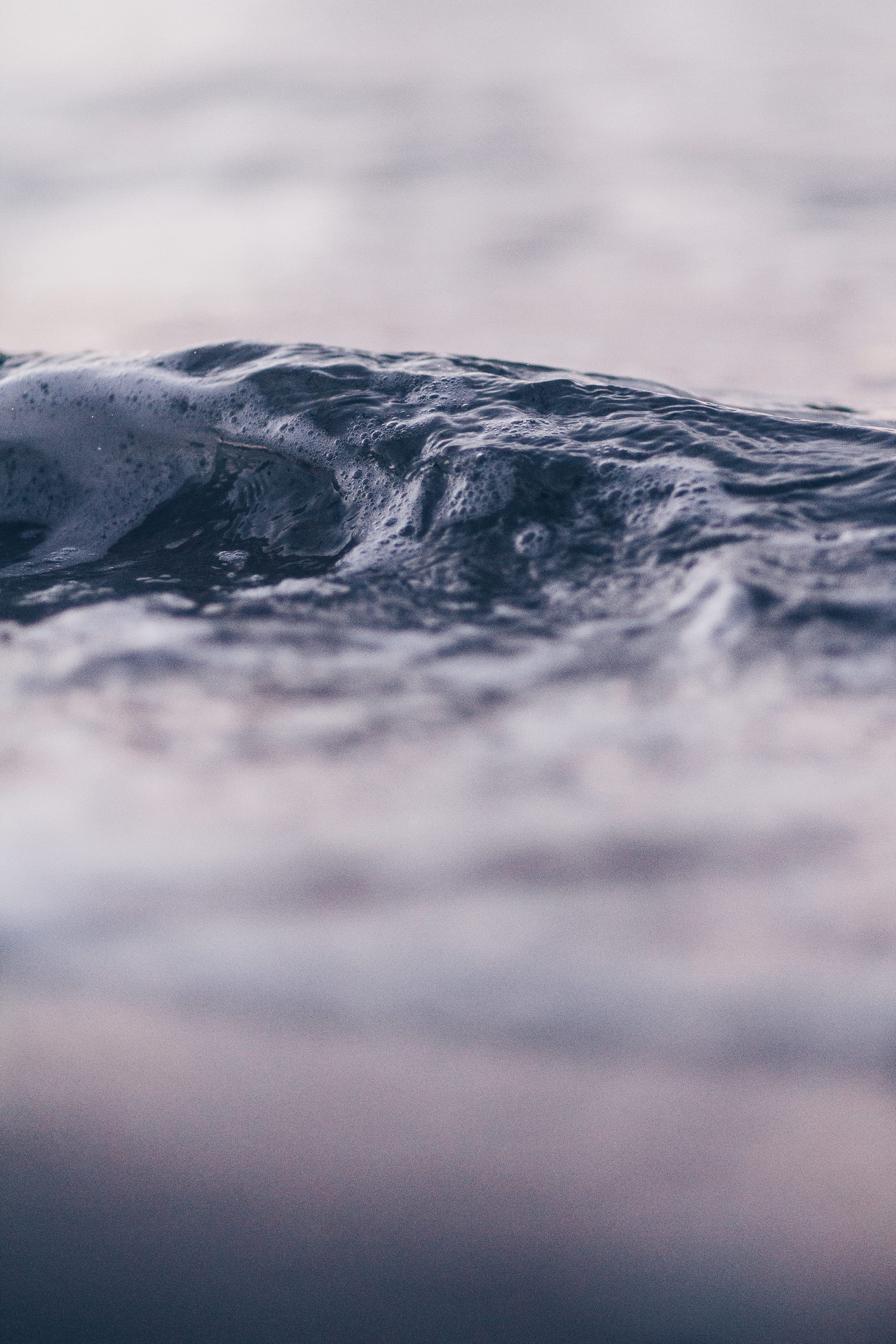 mammal, motion, close up, selective focus, animal wildlife, sunset, macro, day, iphone backgrounds, wave, photo, summer, swimming, water, waterfront, Phone HD Wallpaper